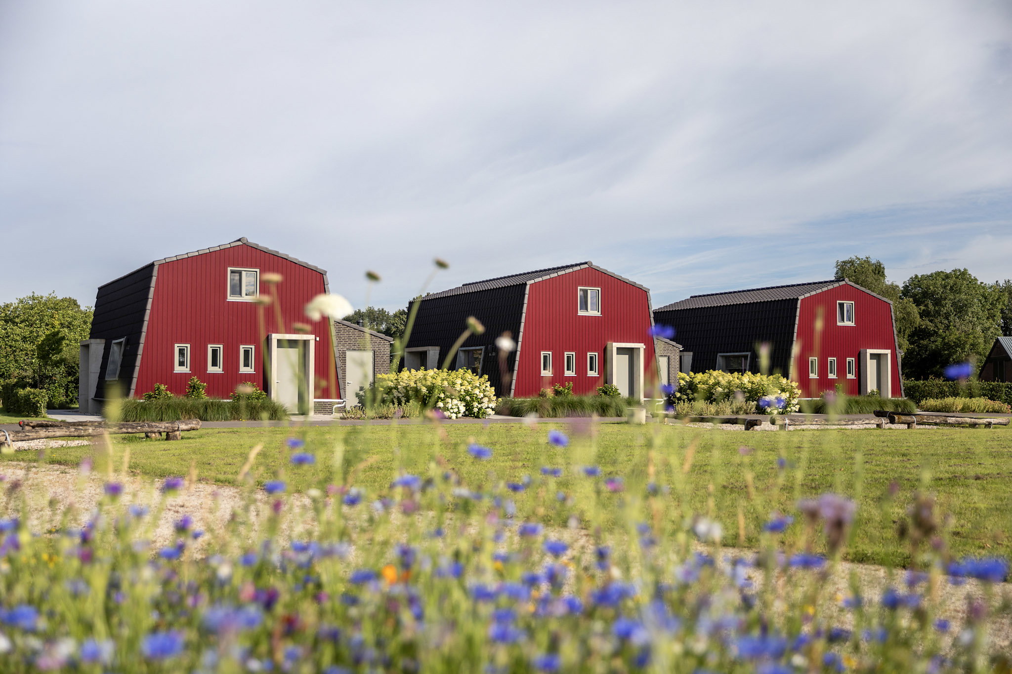 Natuurhuisje in Hapert