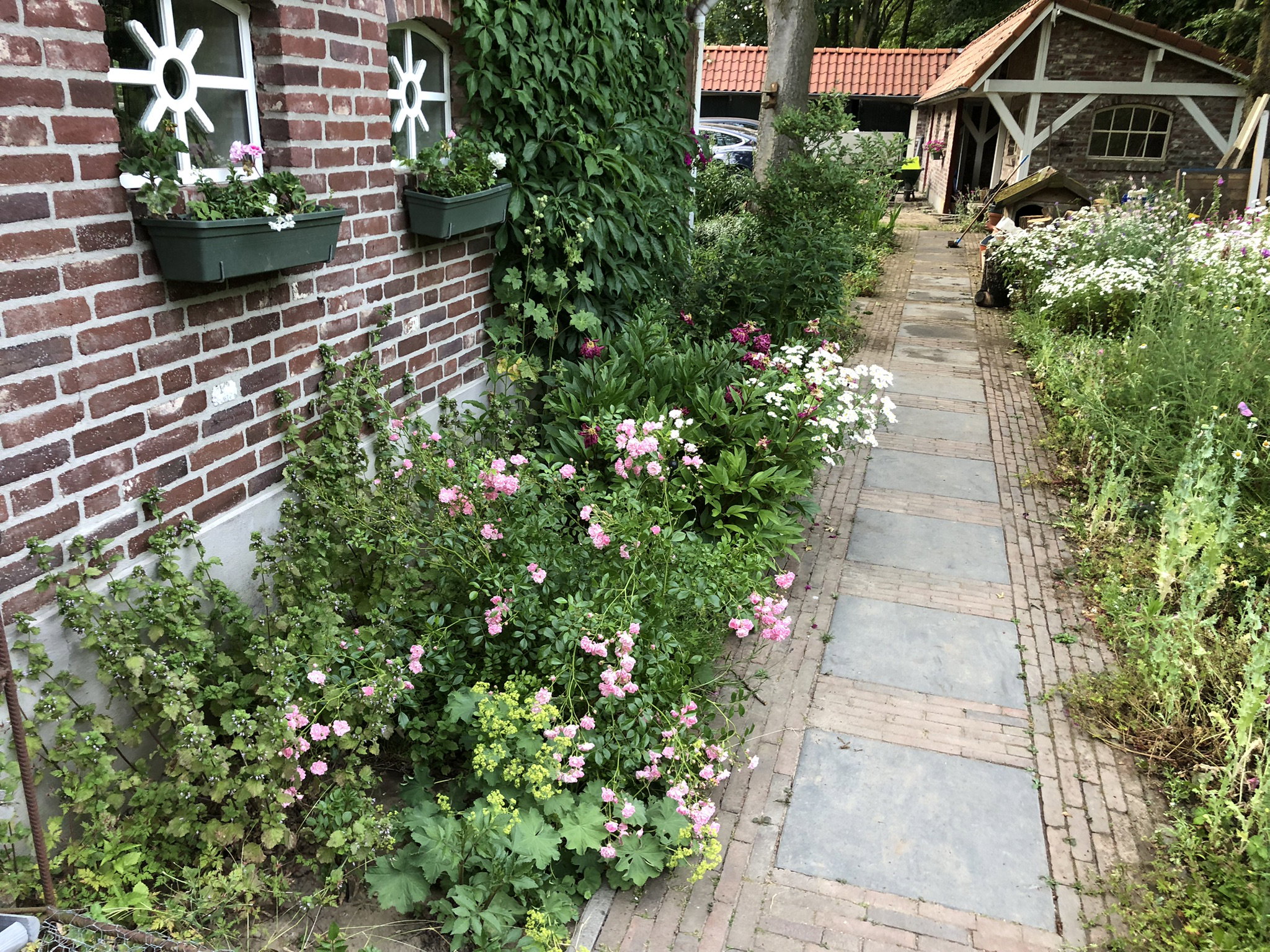 Naturhäuschen in Cuijk
