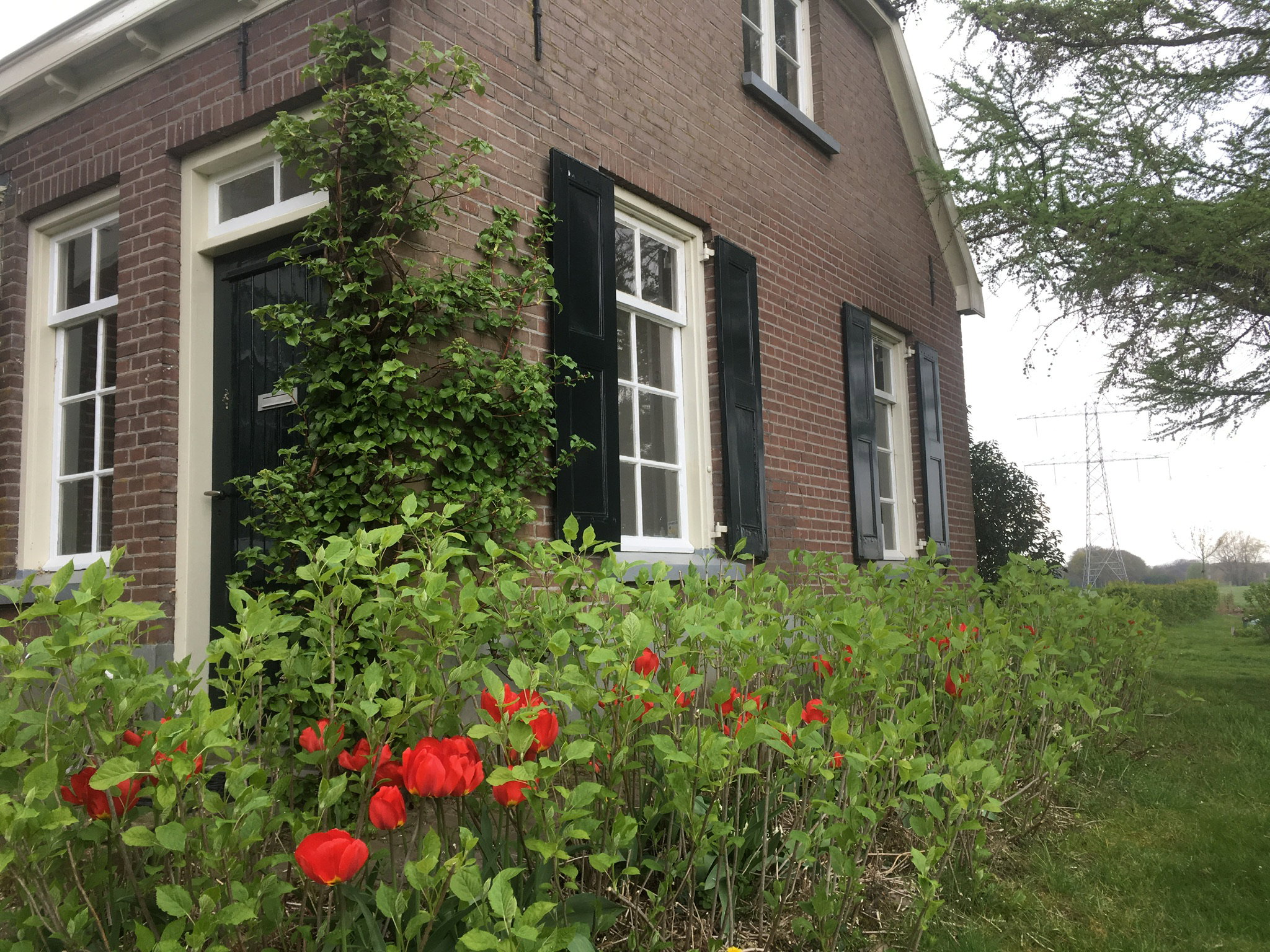 Naturhäuschen in Lochem