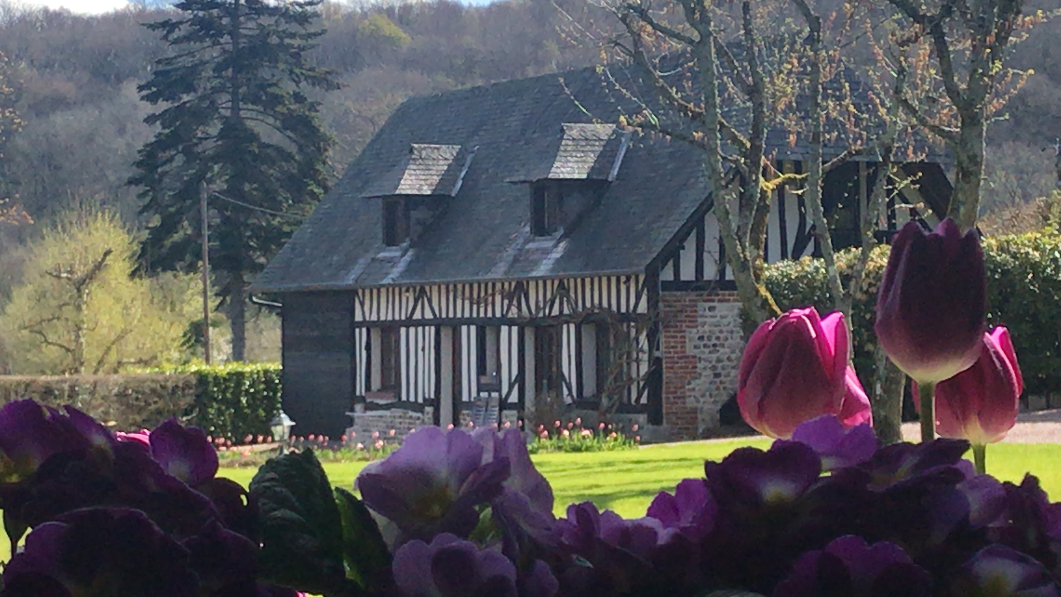 Casa nella natura a GENNEVILLE 10 km HONFLEUR