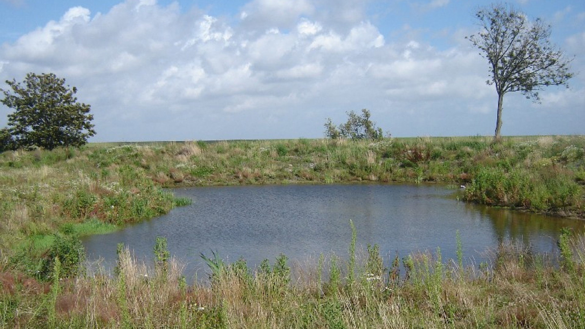 Natuurhuisje in De Cocksdorp