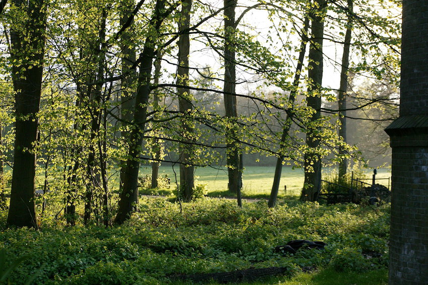 - image: 12