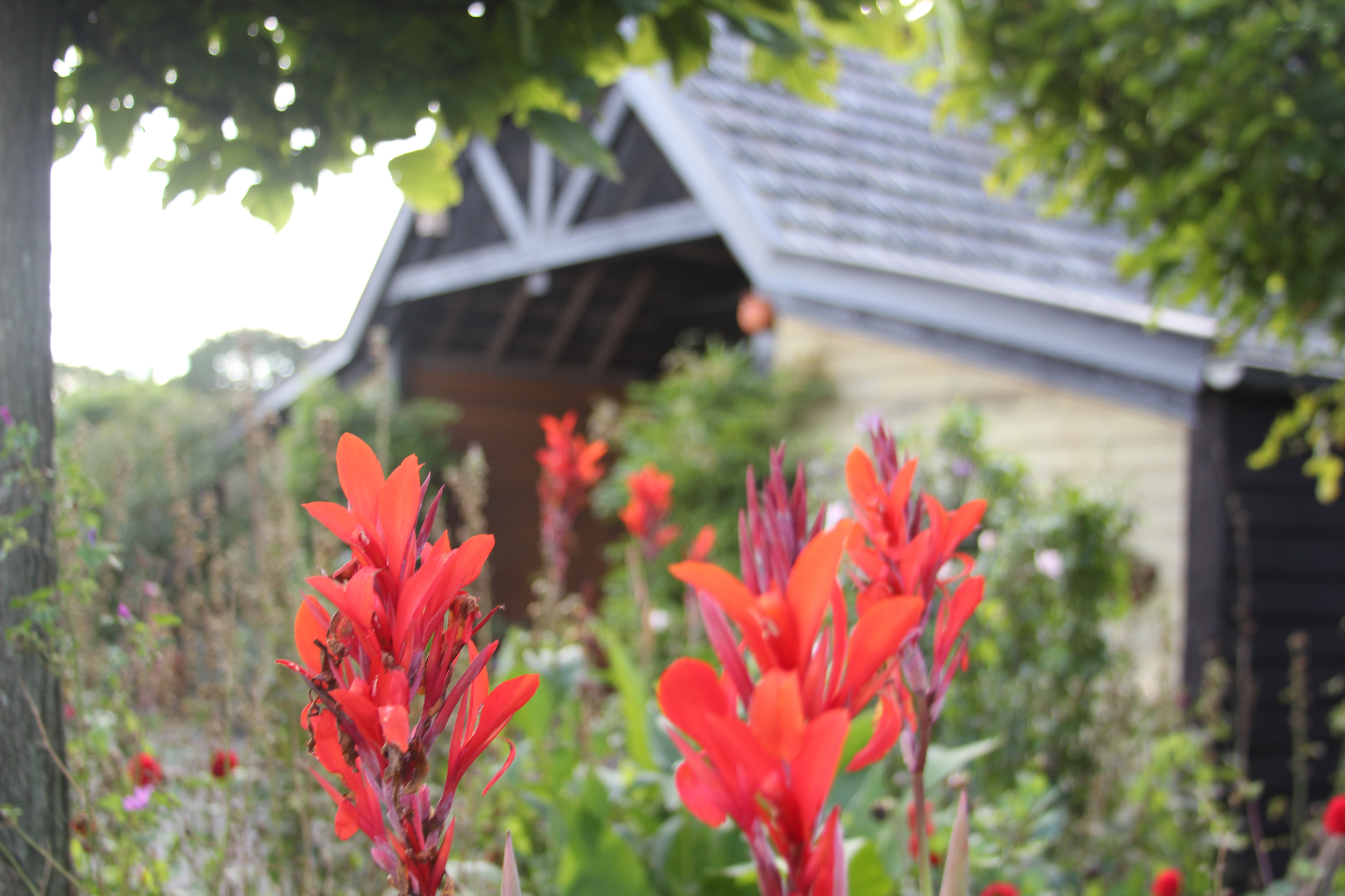 Natuurhuisje in De Rips