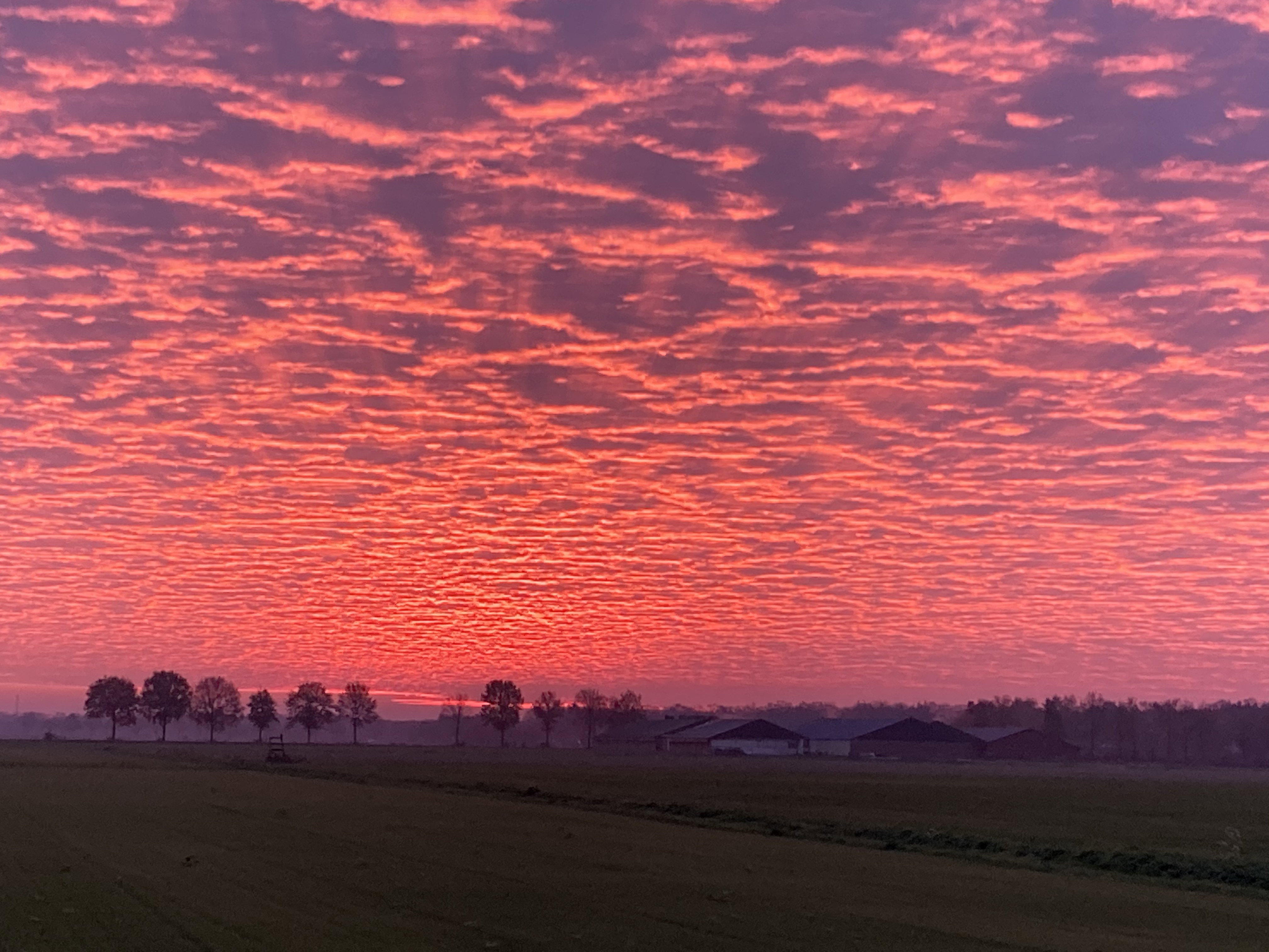 Natuurhuisje in De Rips