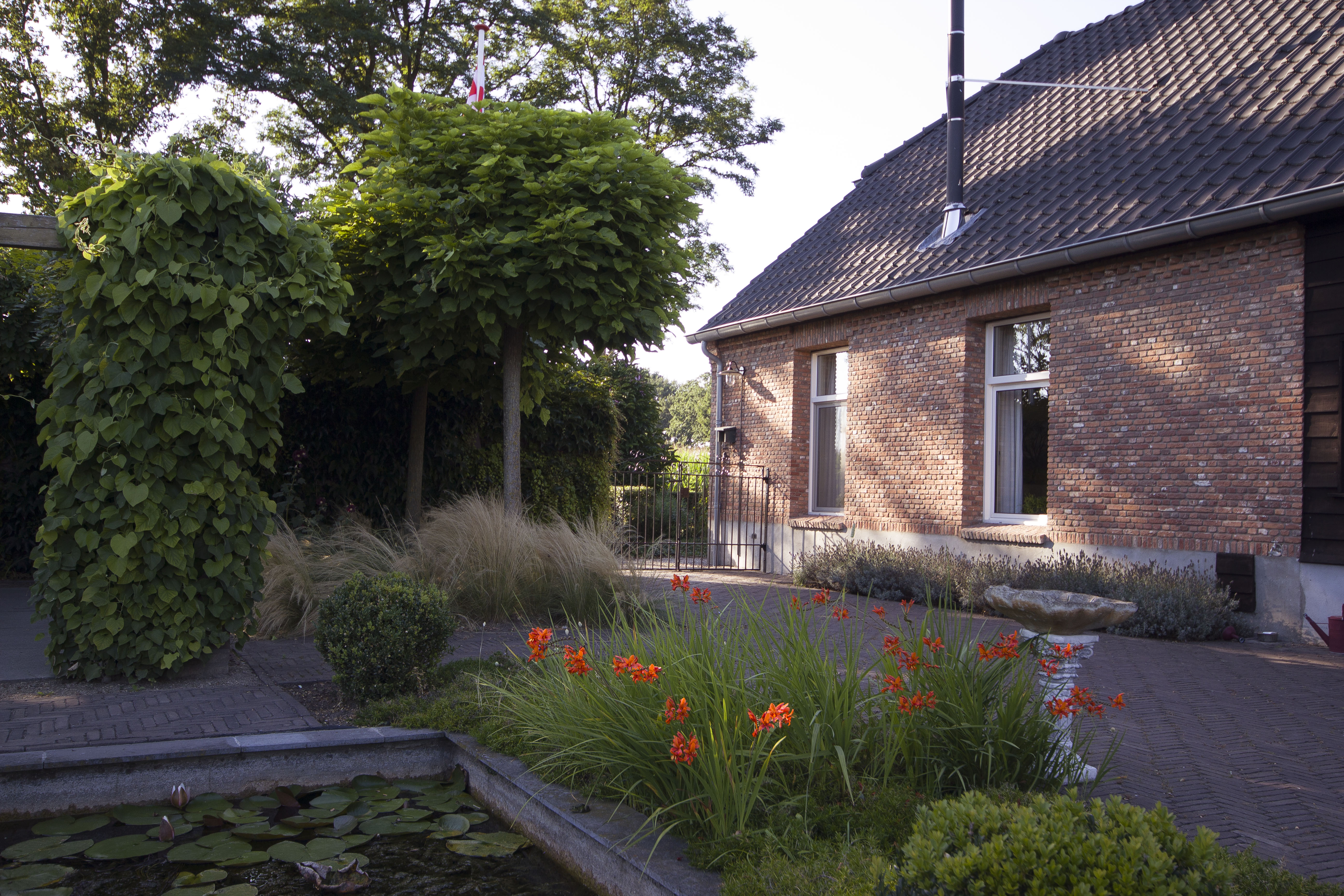 Natuurhuisje in De Rips