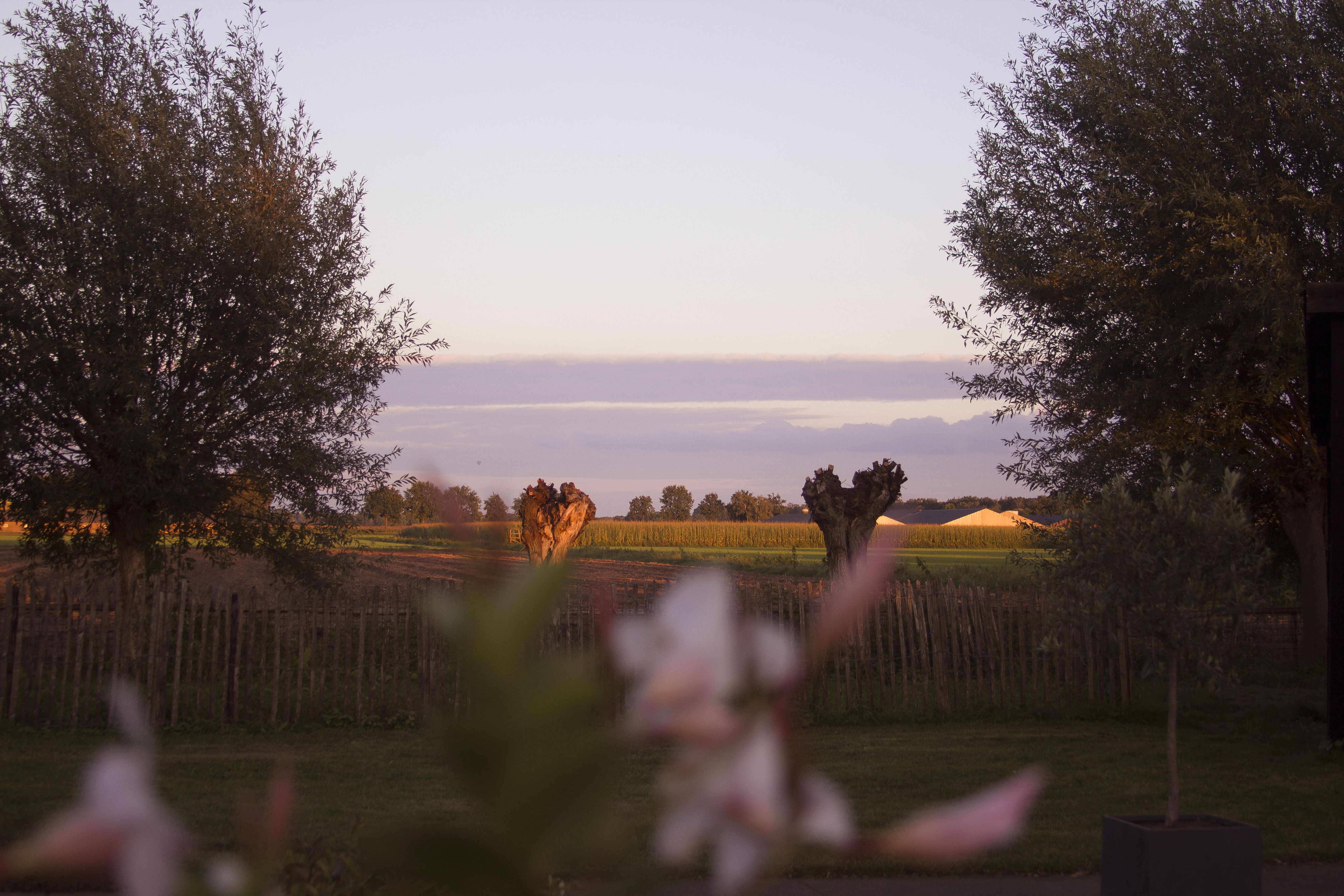 Natuurhuisje in De Rips