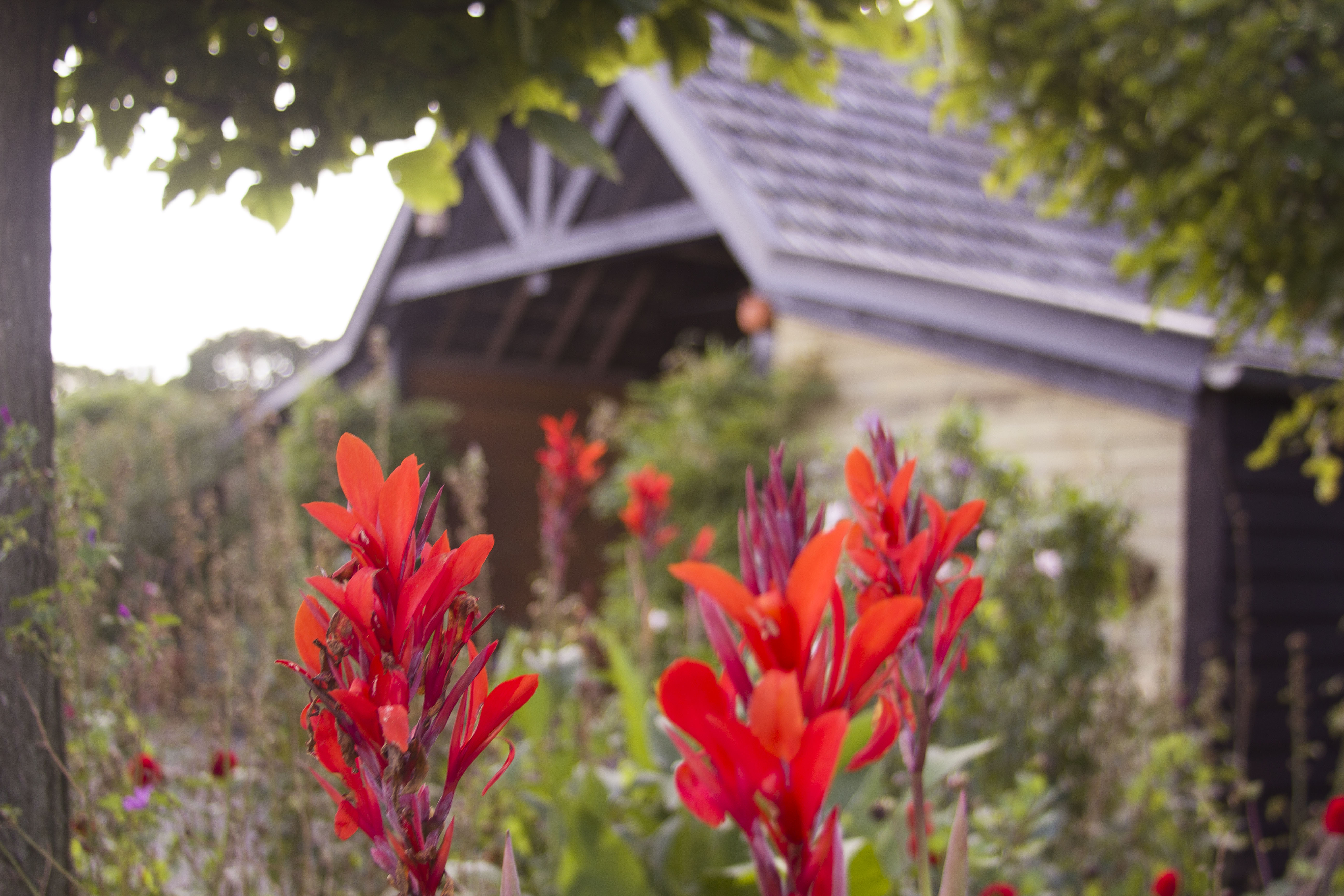 Natuurhuisje in De Rips