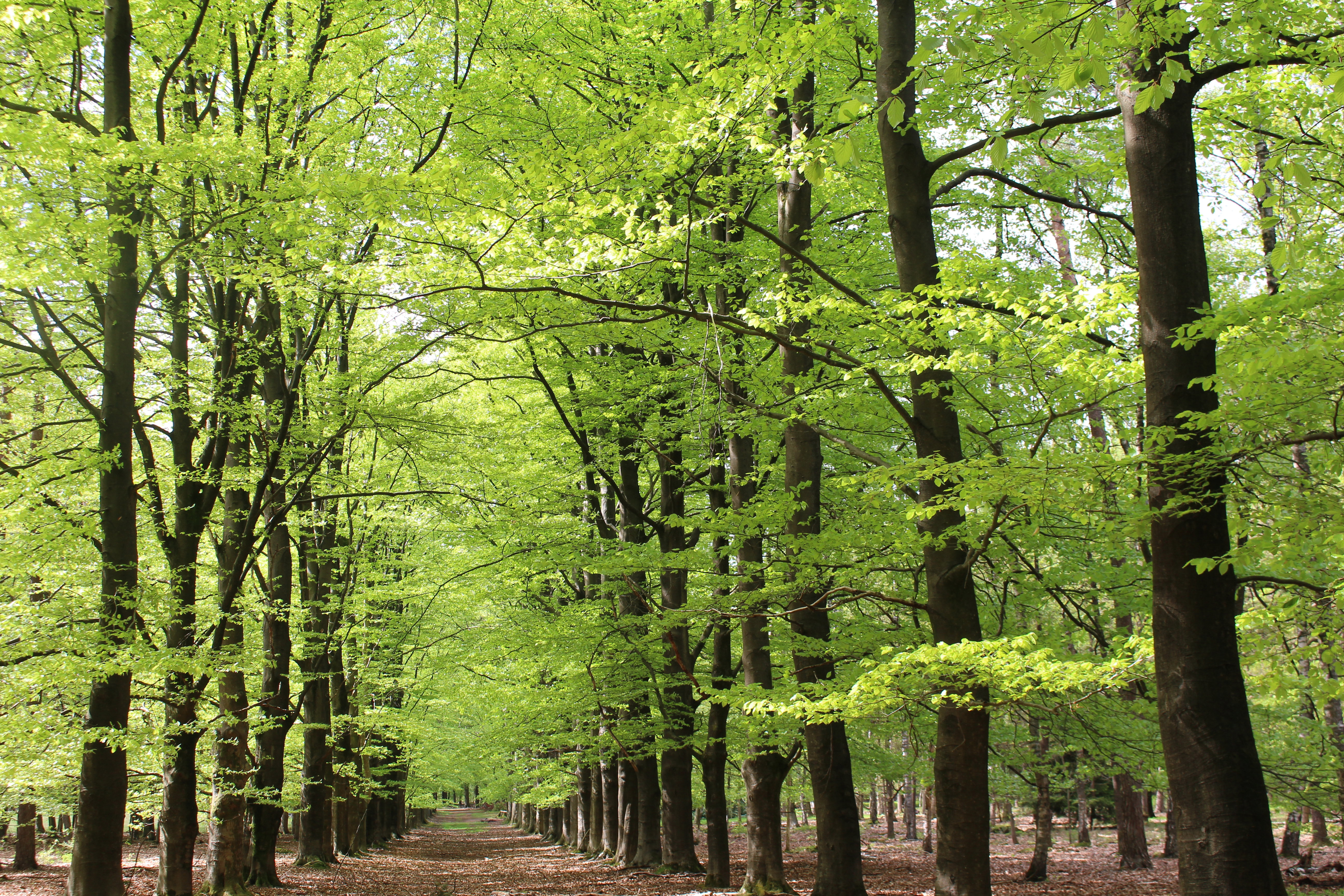 Naturhäuschen in Epe