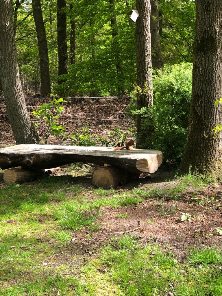 Naturhäuschen in Epe