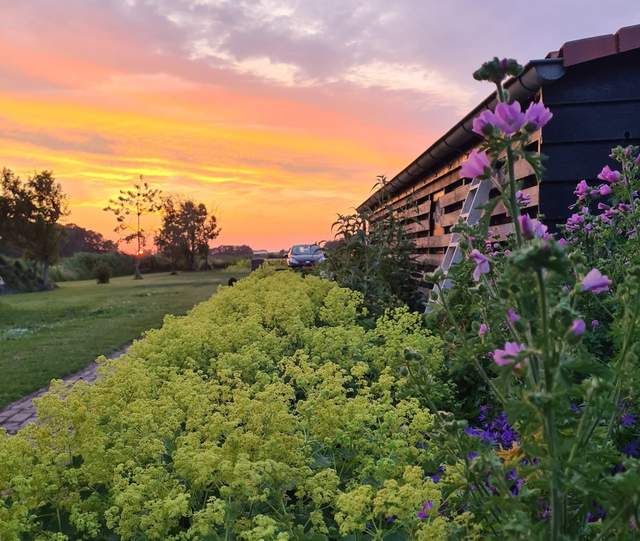 Maison nature à Oudesluis