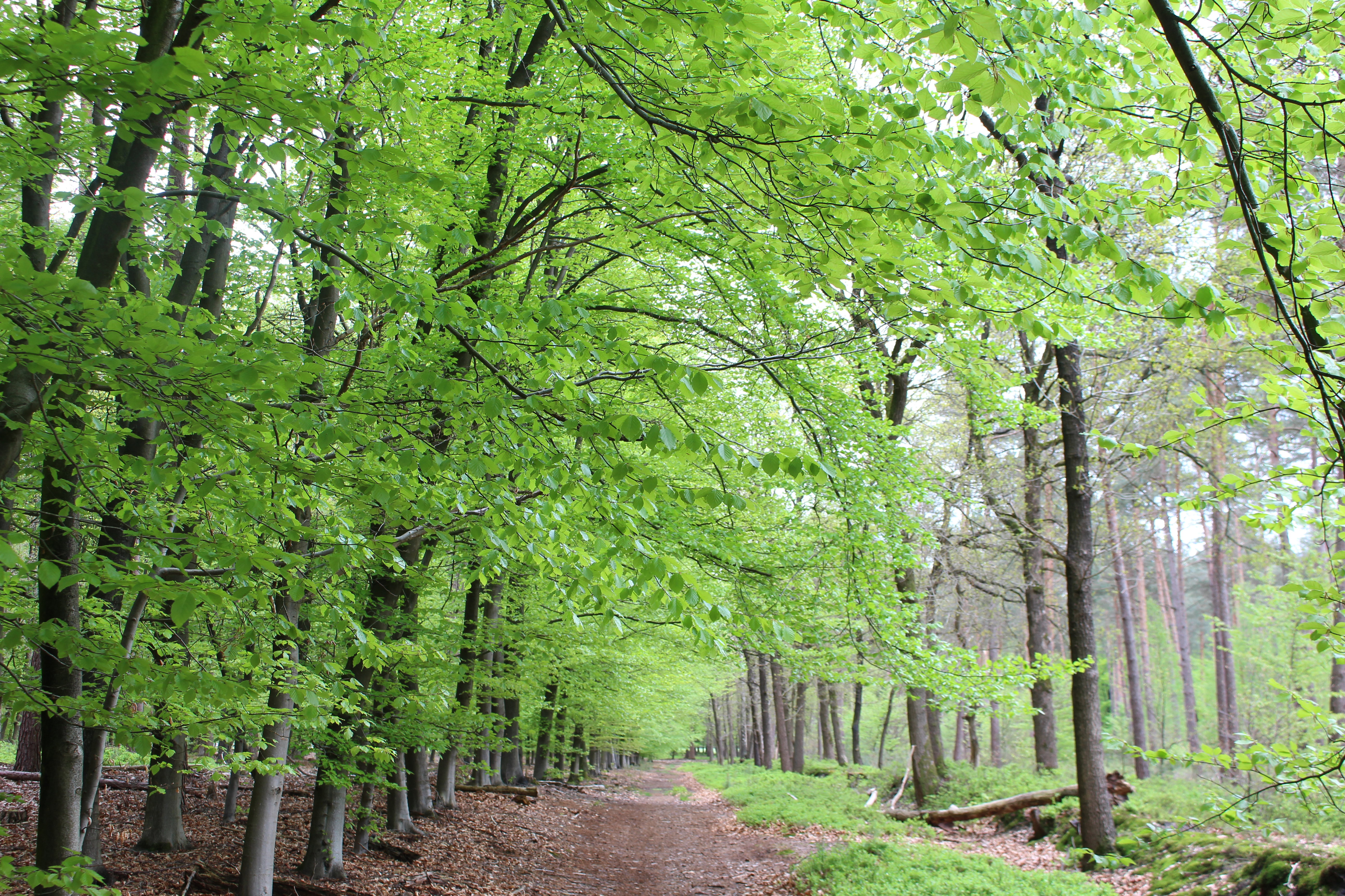 Naturhäuschen in Epe