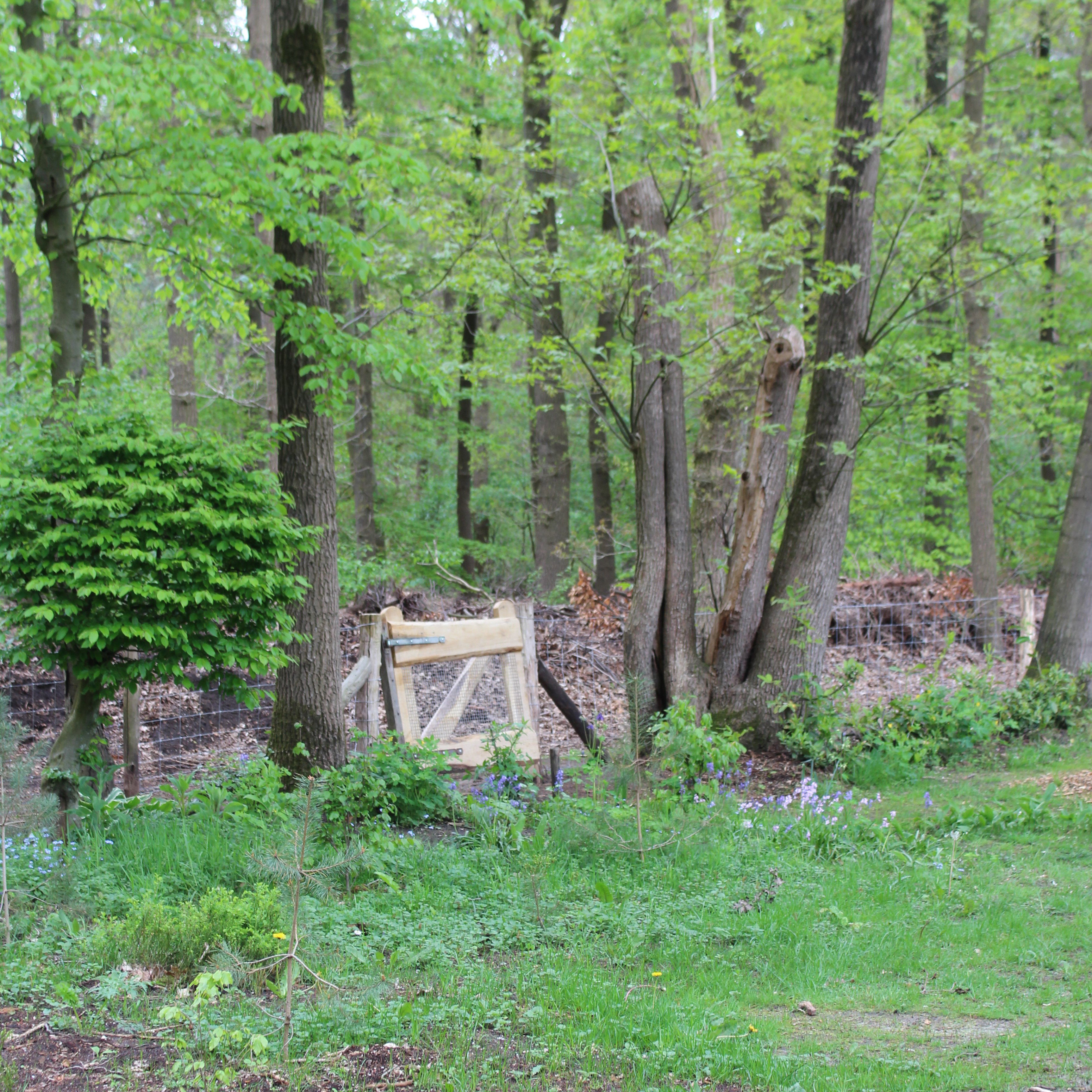 Naturhäuschen in Epe