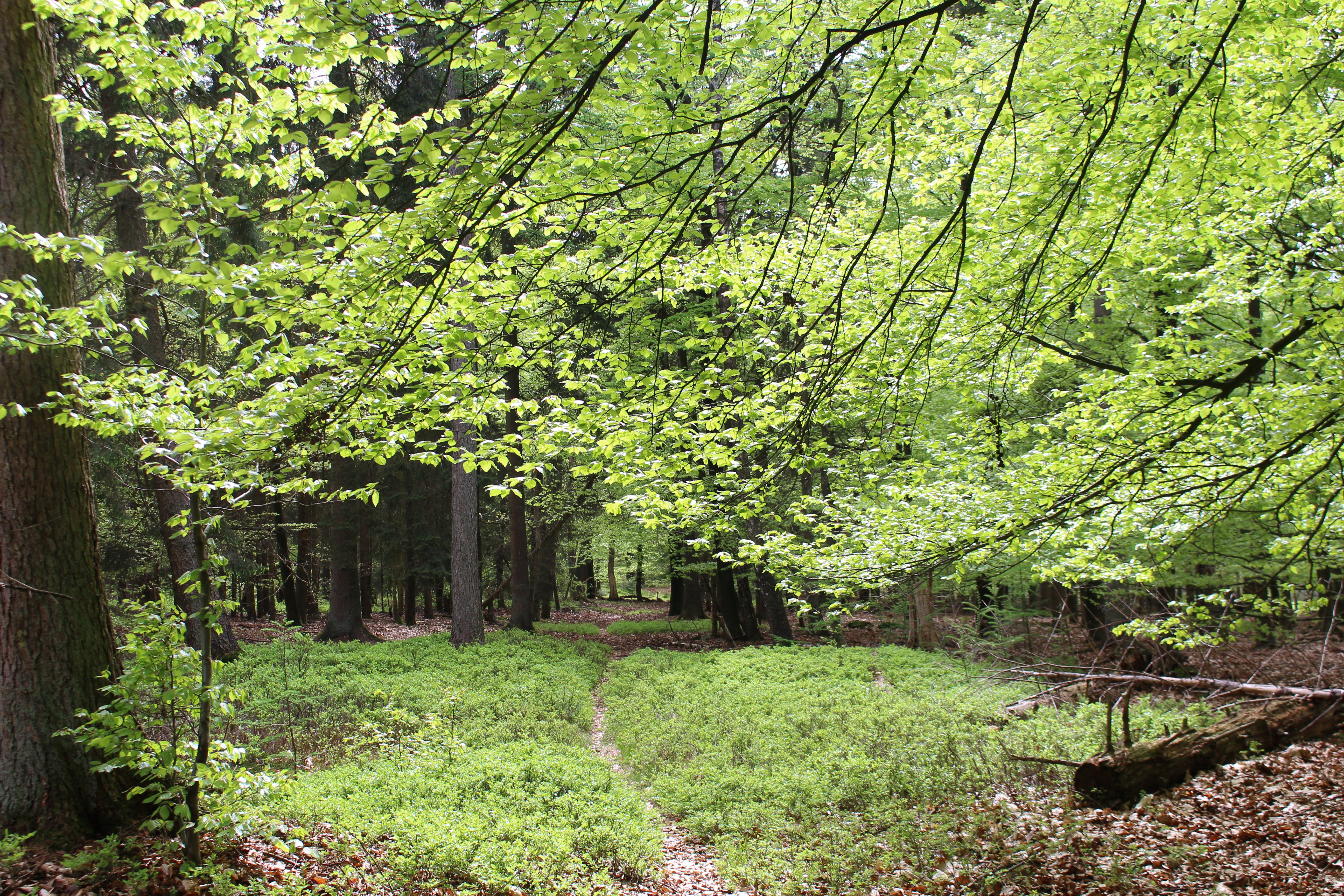 Naturhäuschen in Epe