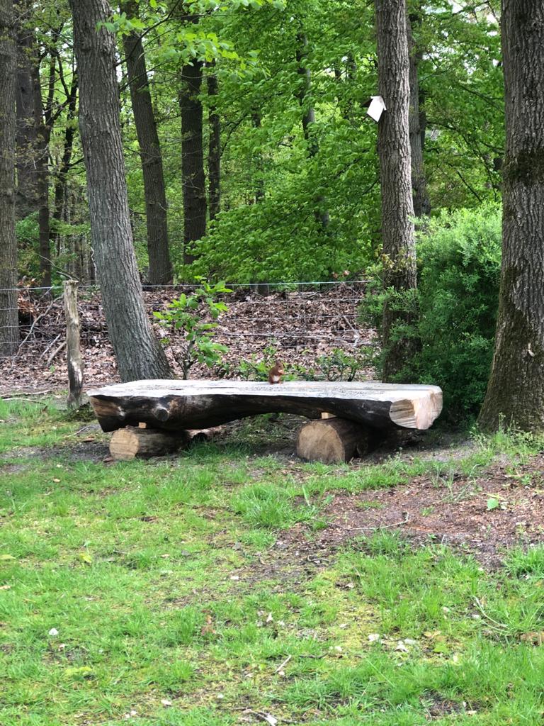 Naturhäuschen in Epe