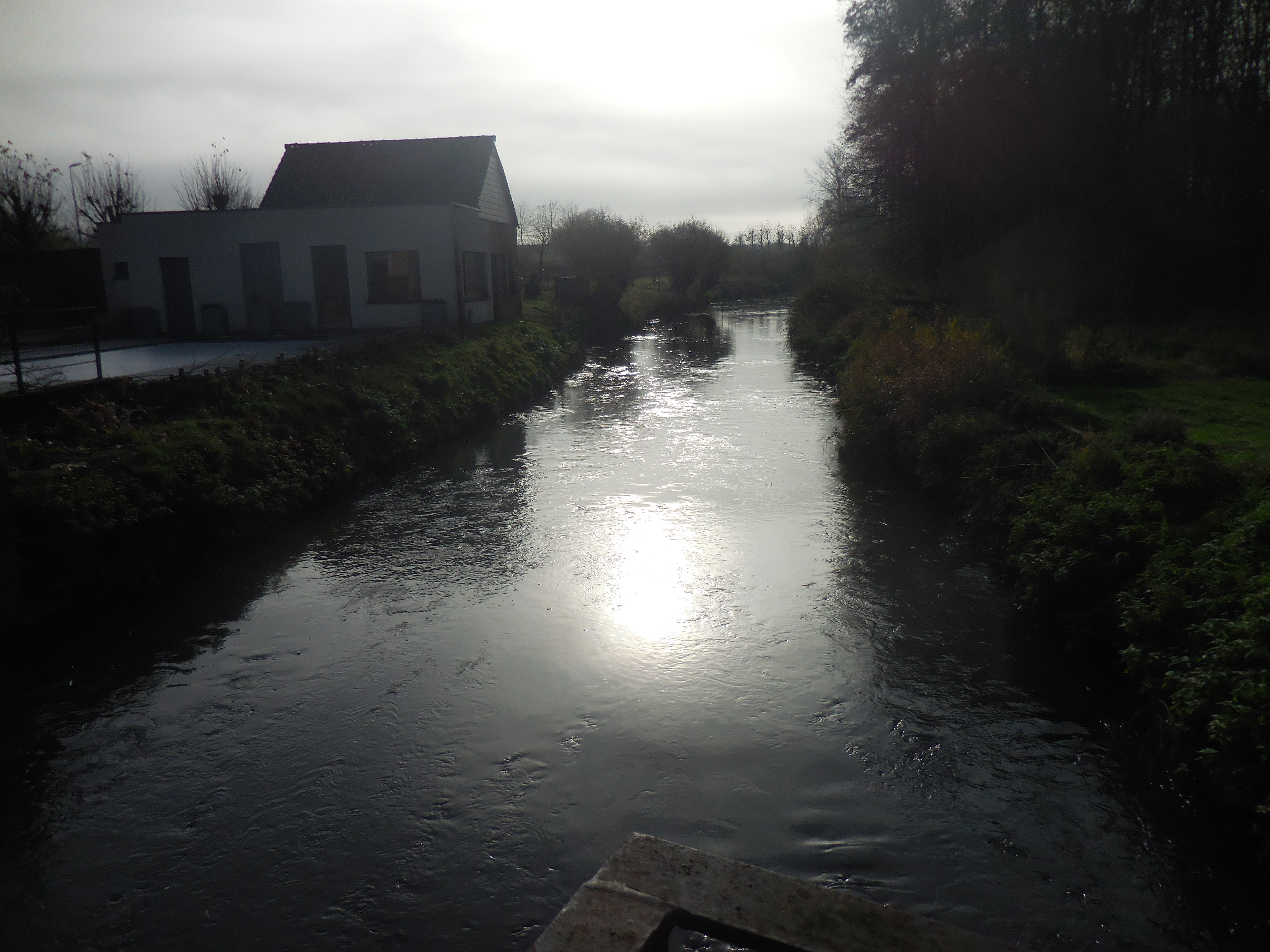 Naturhäuschen in Tongeren