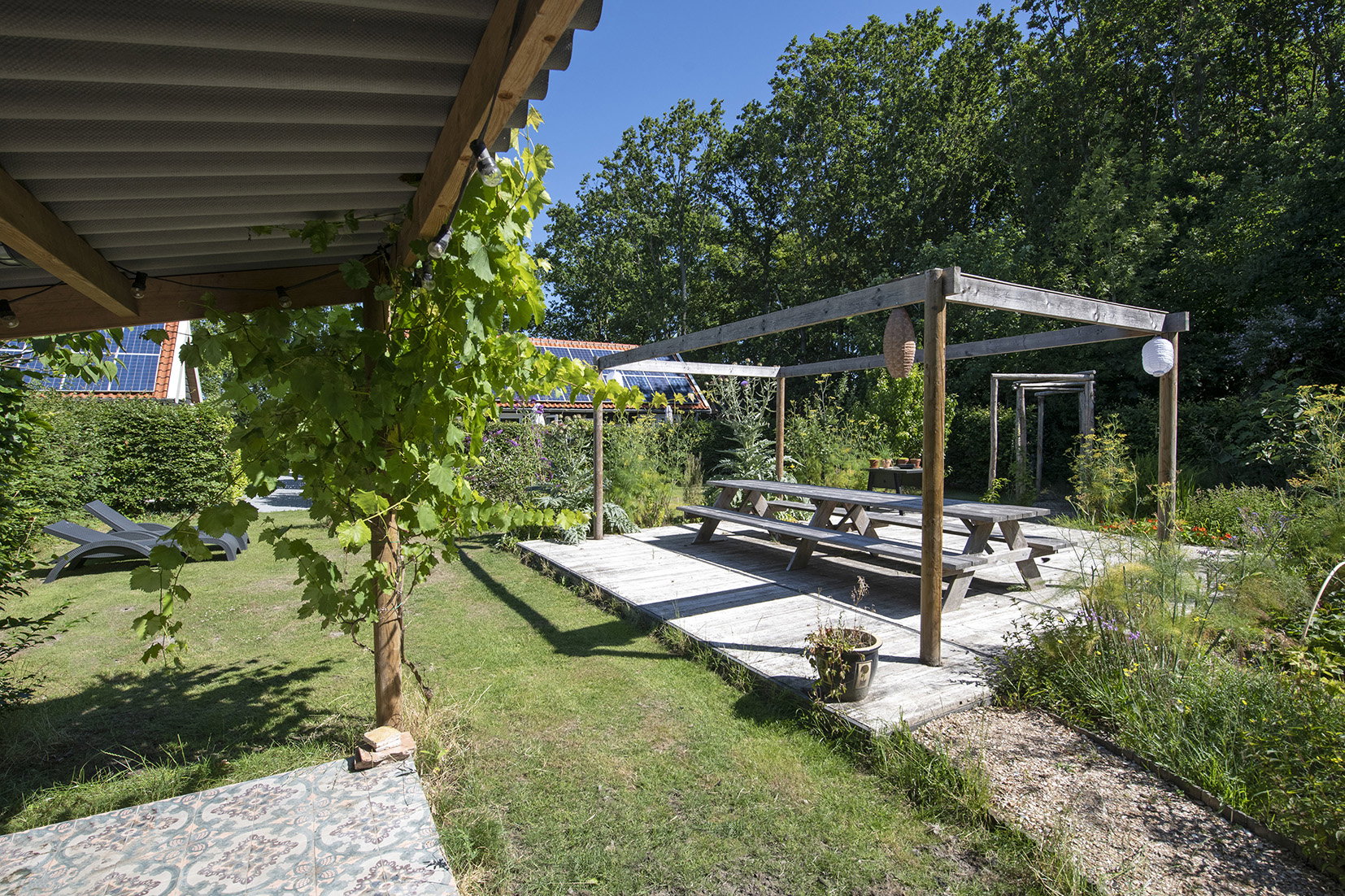 - image: 25