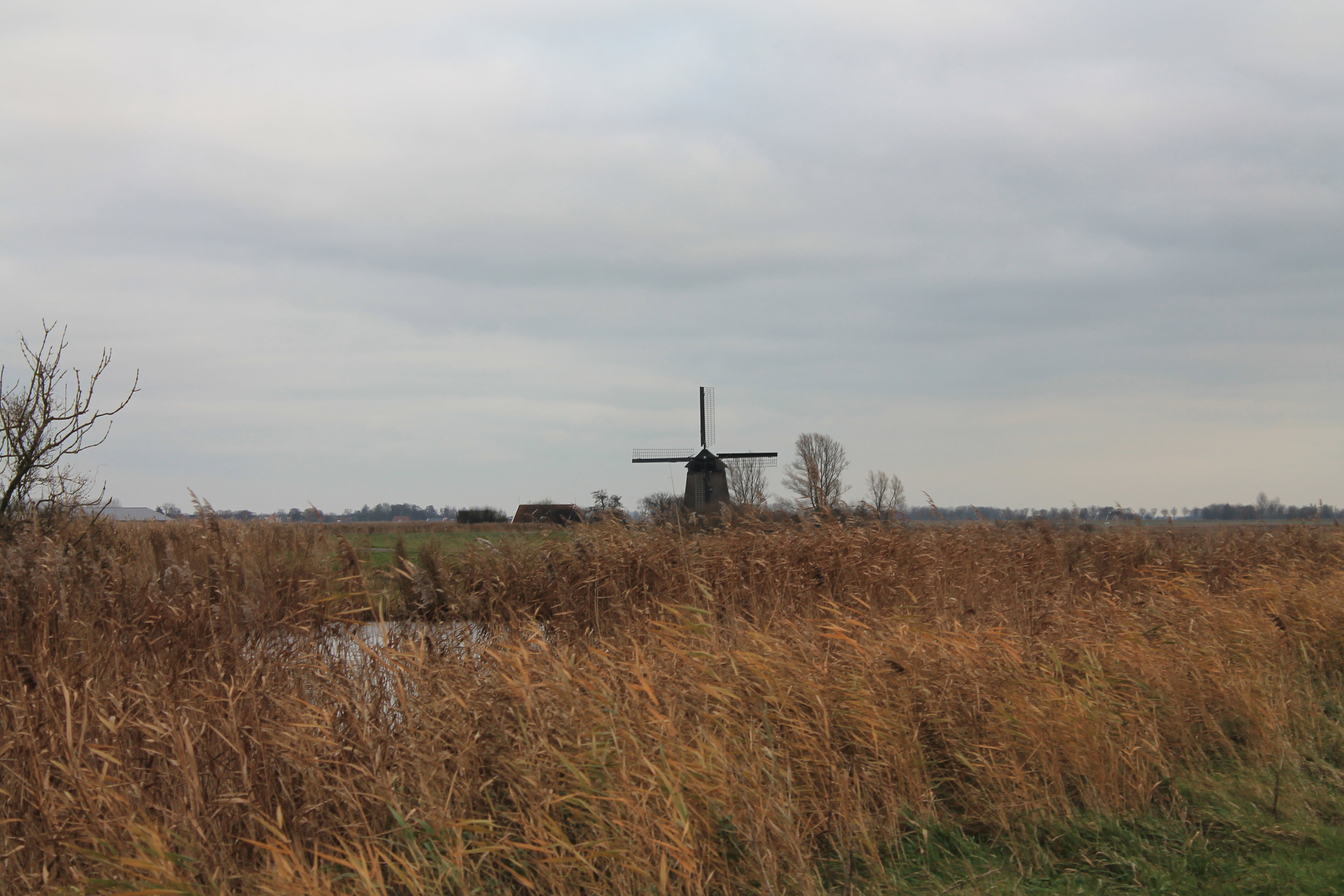 - image: 21