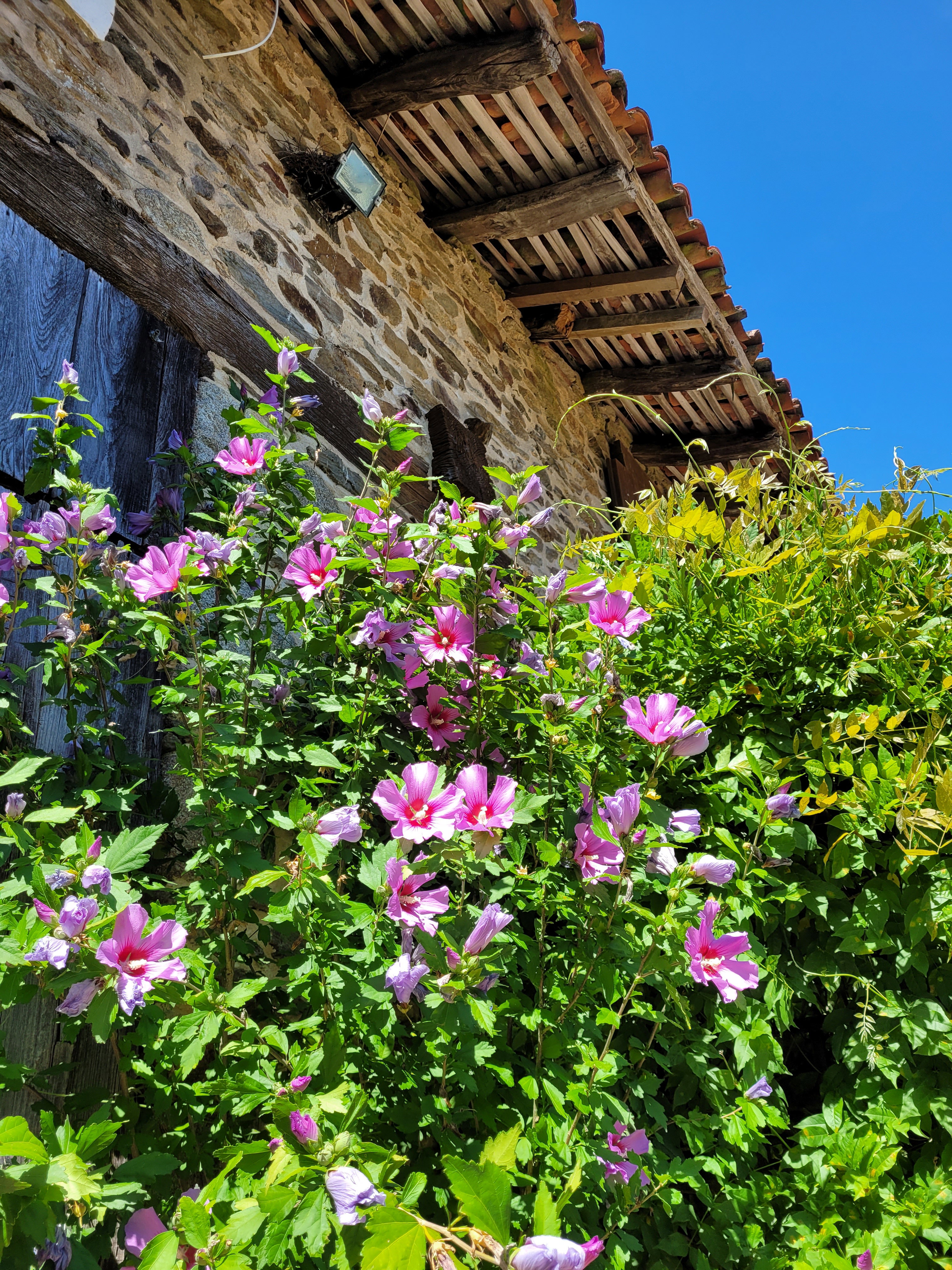 - image: 39