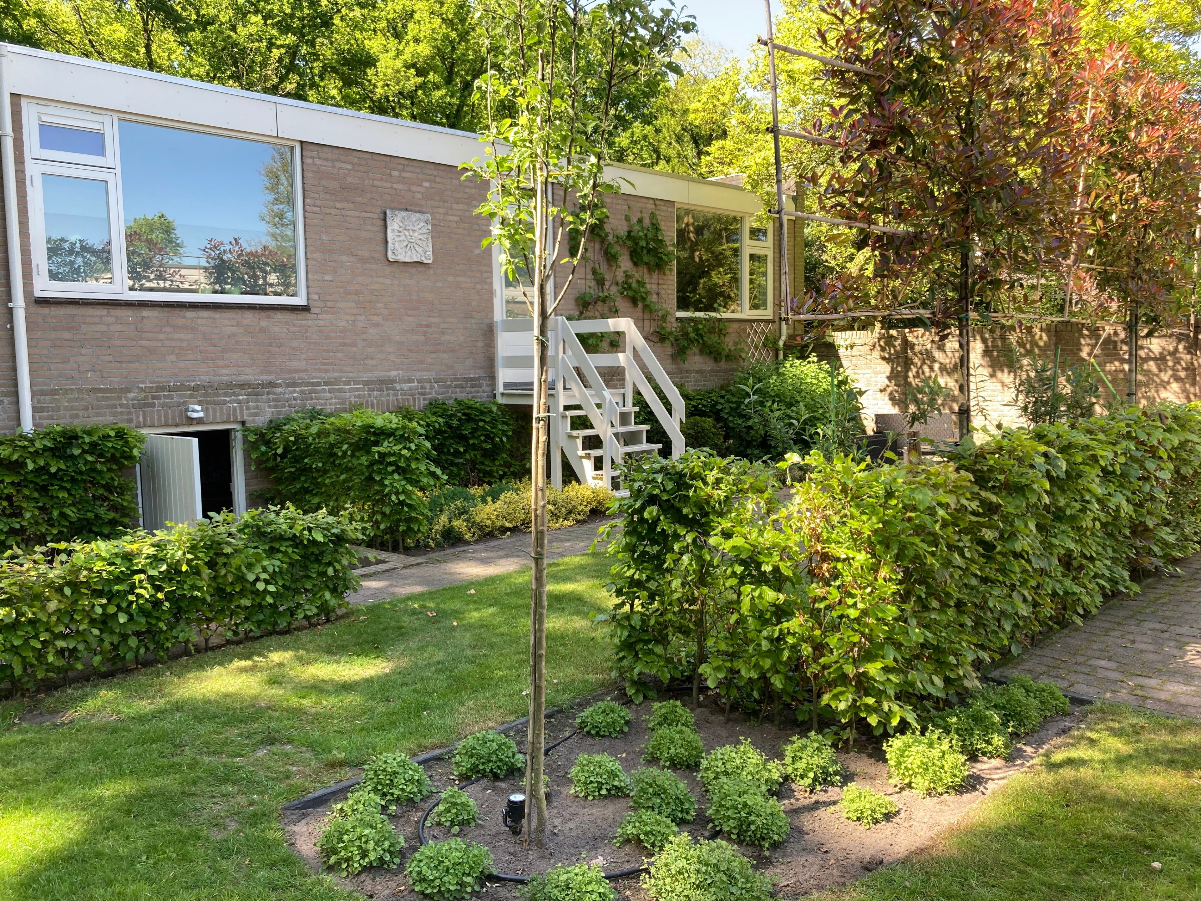 Casa nella natura a Dongen