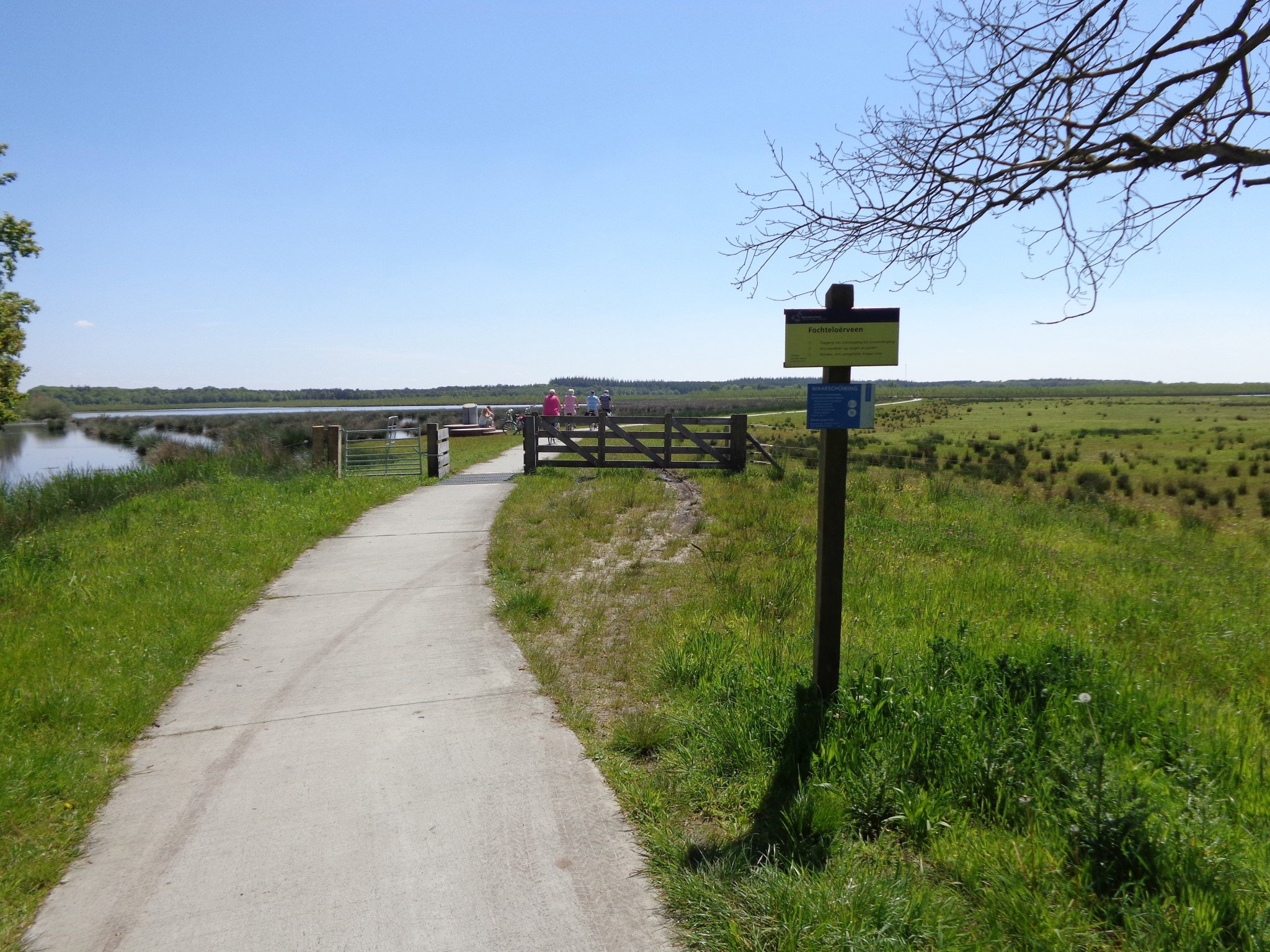 - image: 12