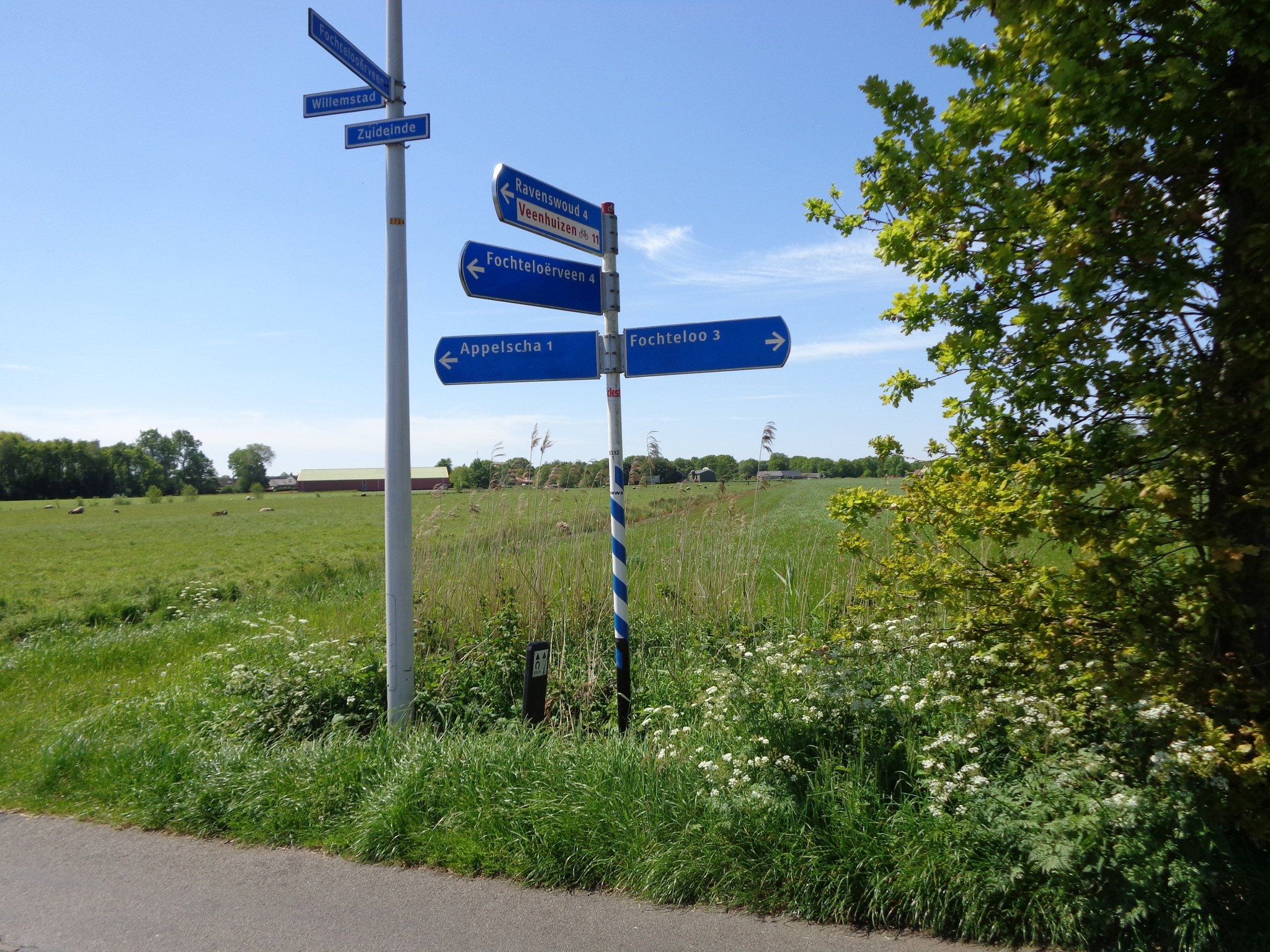 - image: 11