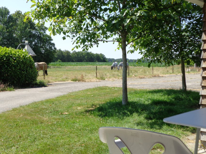 Naturhäuschen in Fochteloo