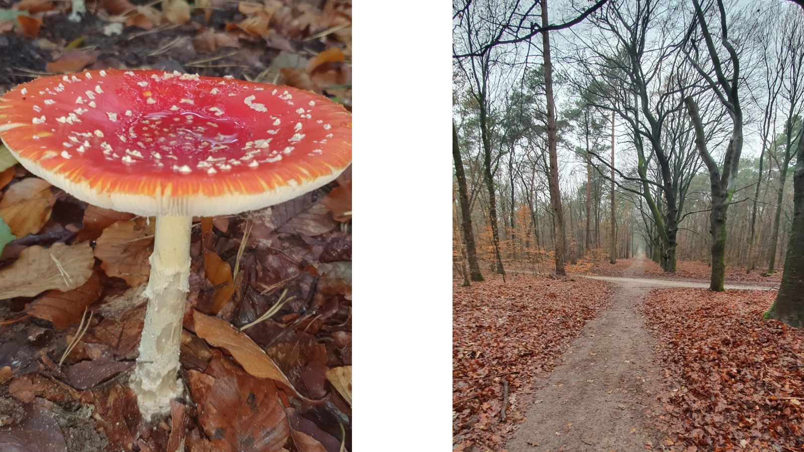 Naturhäuschen in Ermelo