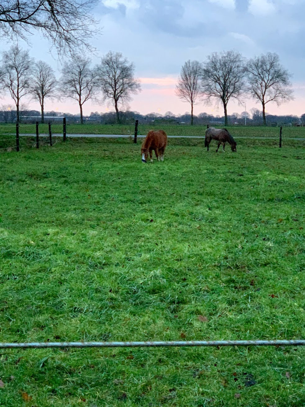 Naturhäuschen in Tilburg