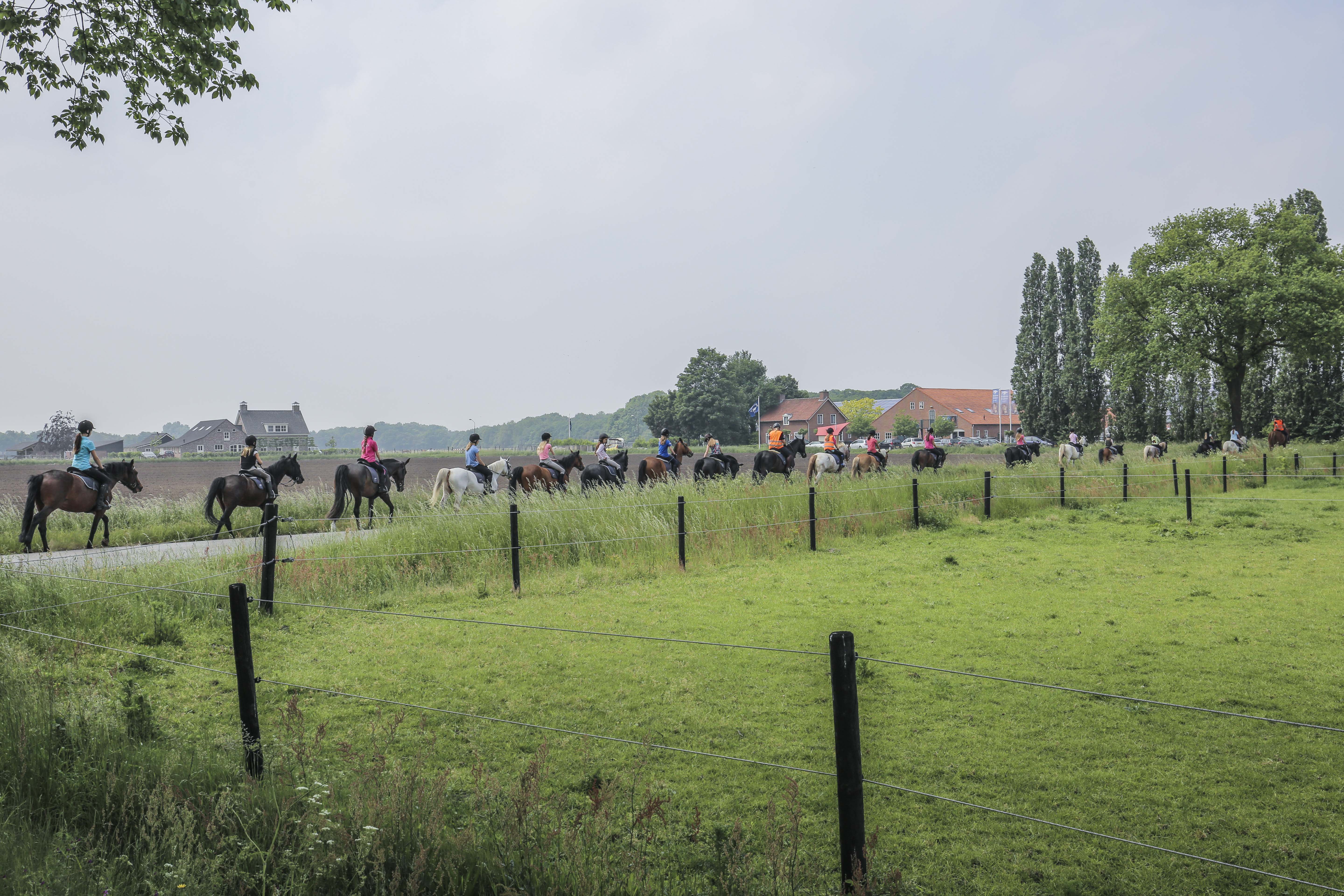 Naturhäuschen in Tilburg