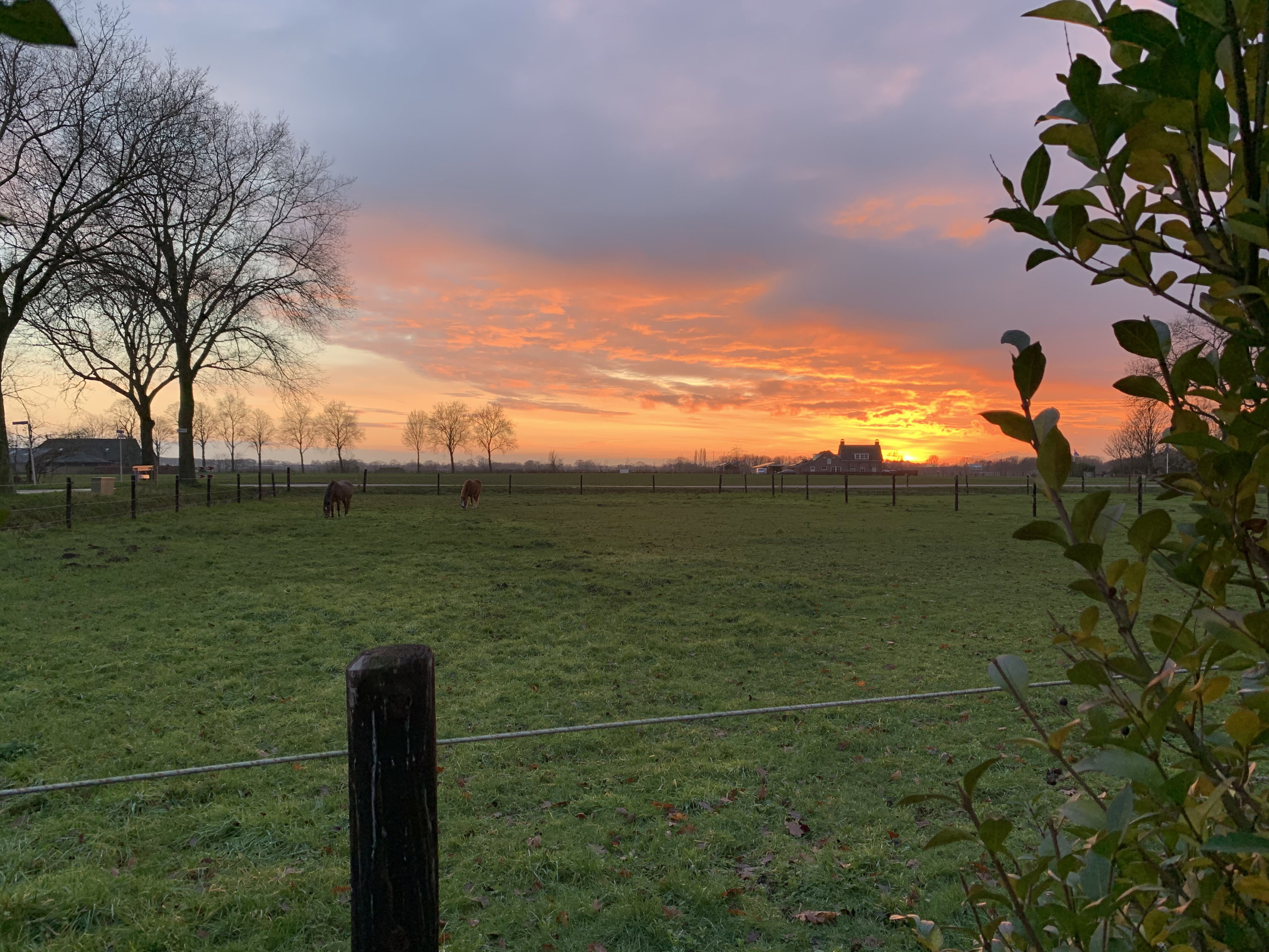 Naturhäuschen in Tilburg