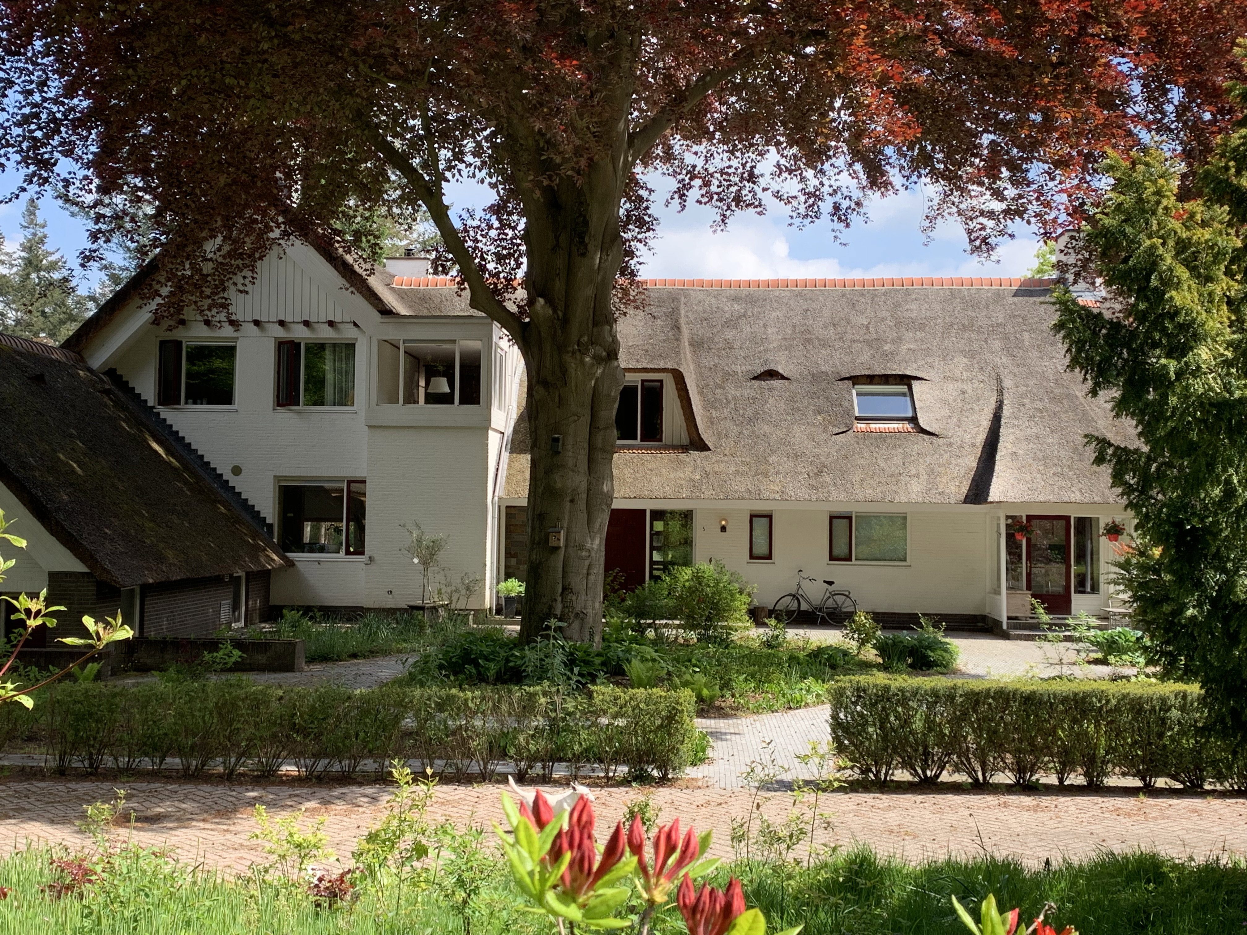 - image: 7