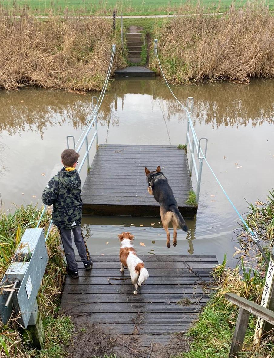Naturhäuschen in Rijsbergen