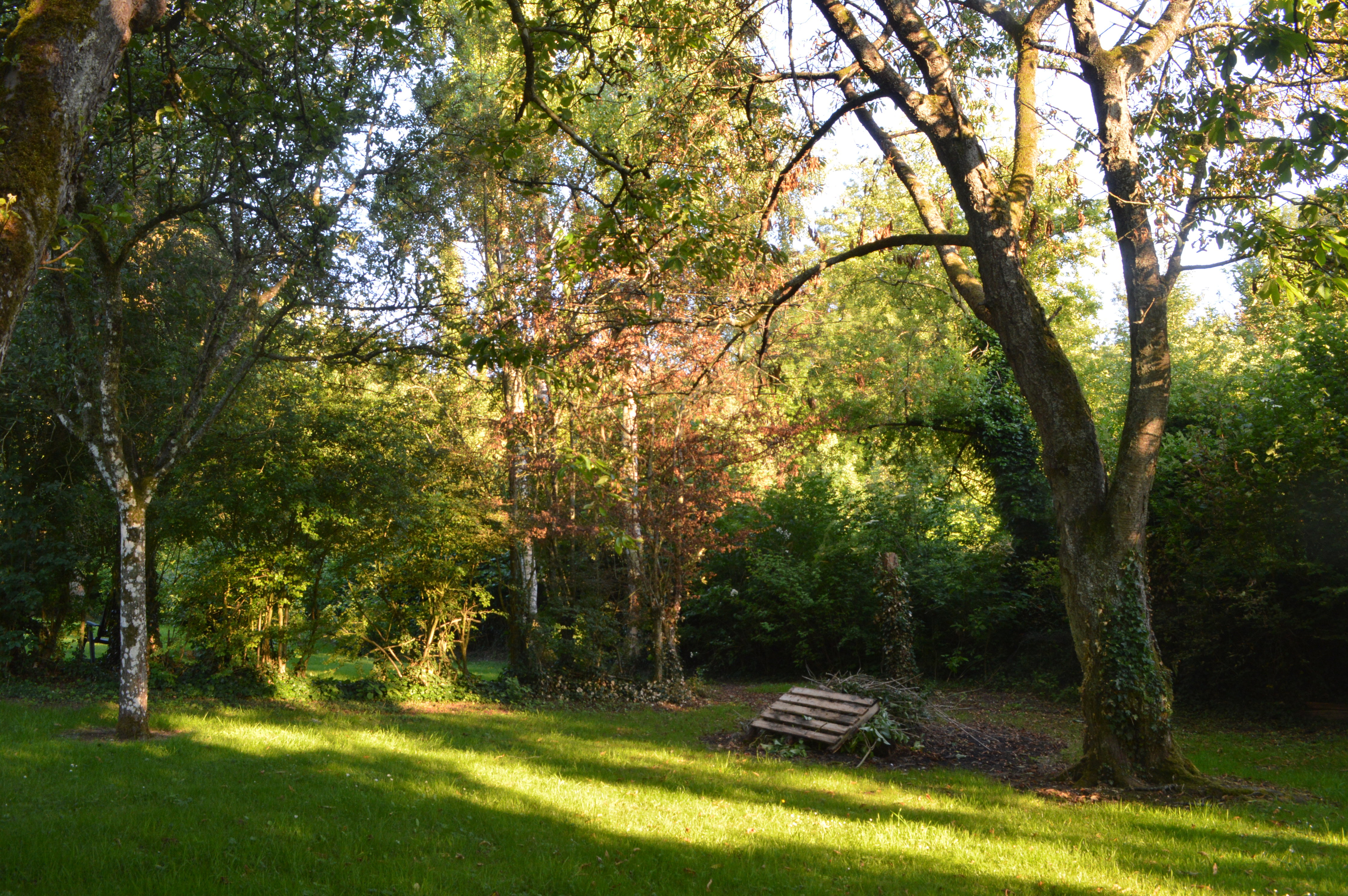 - image: 25