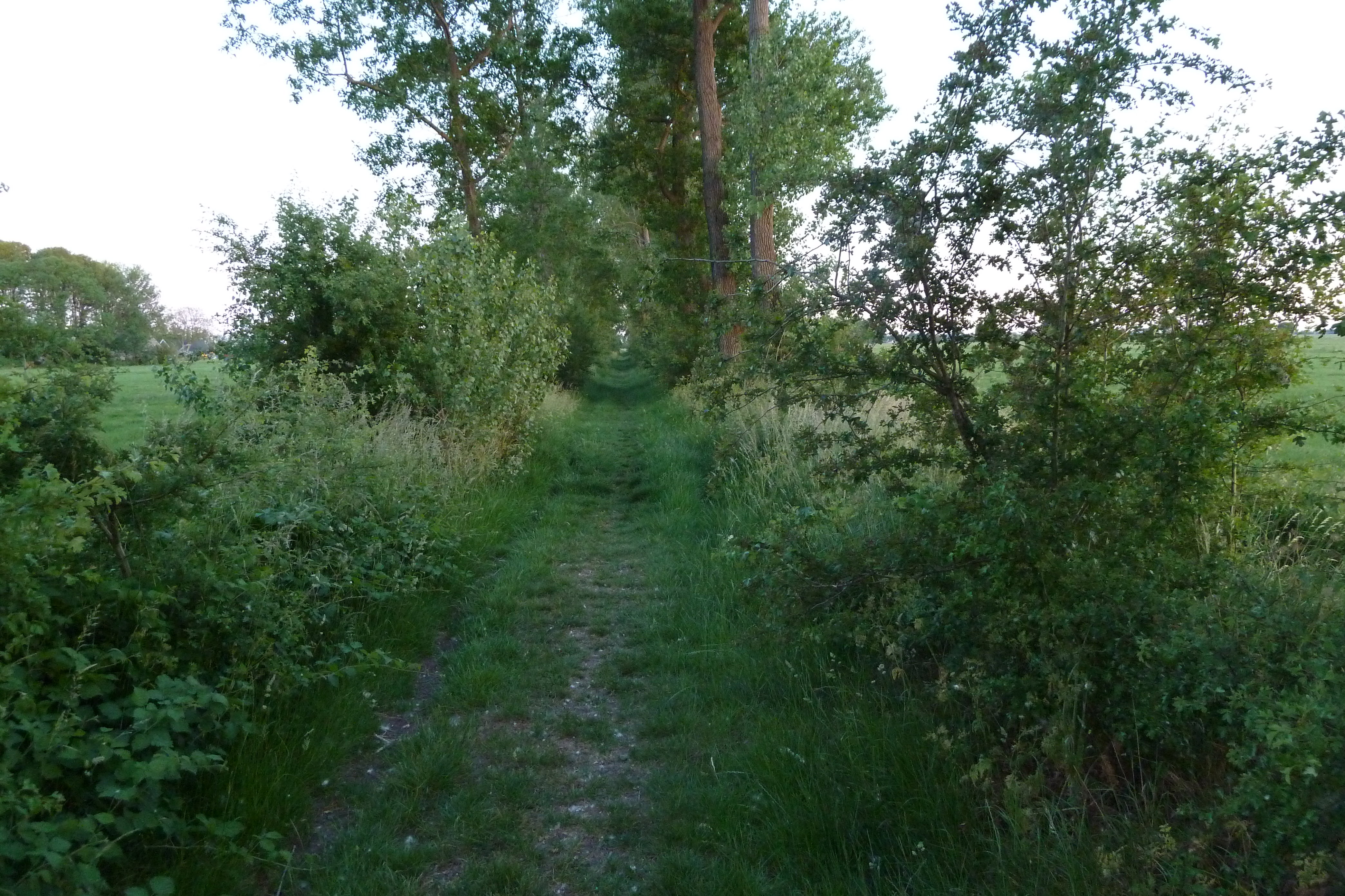 - image: 22
