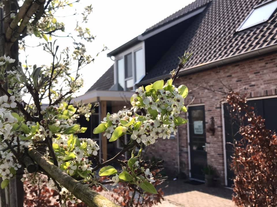 Maison nature à Hoornaar