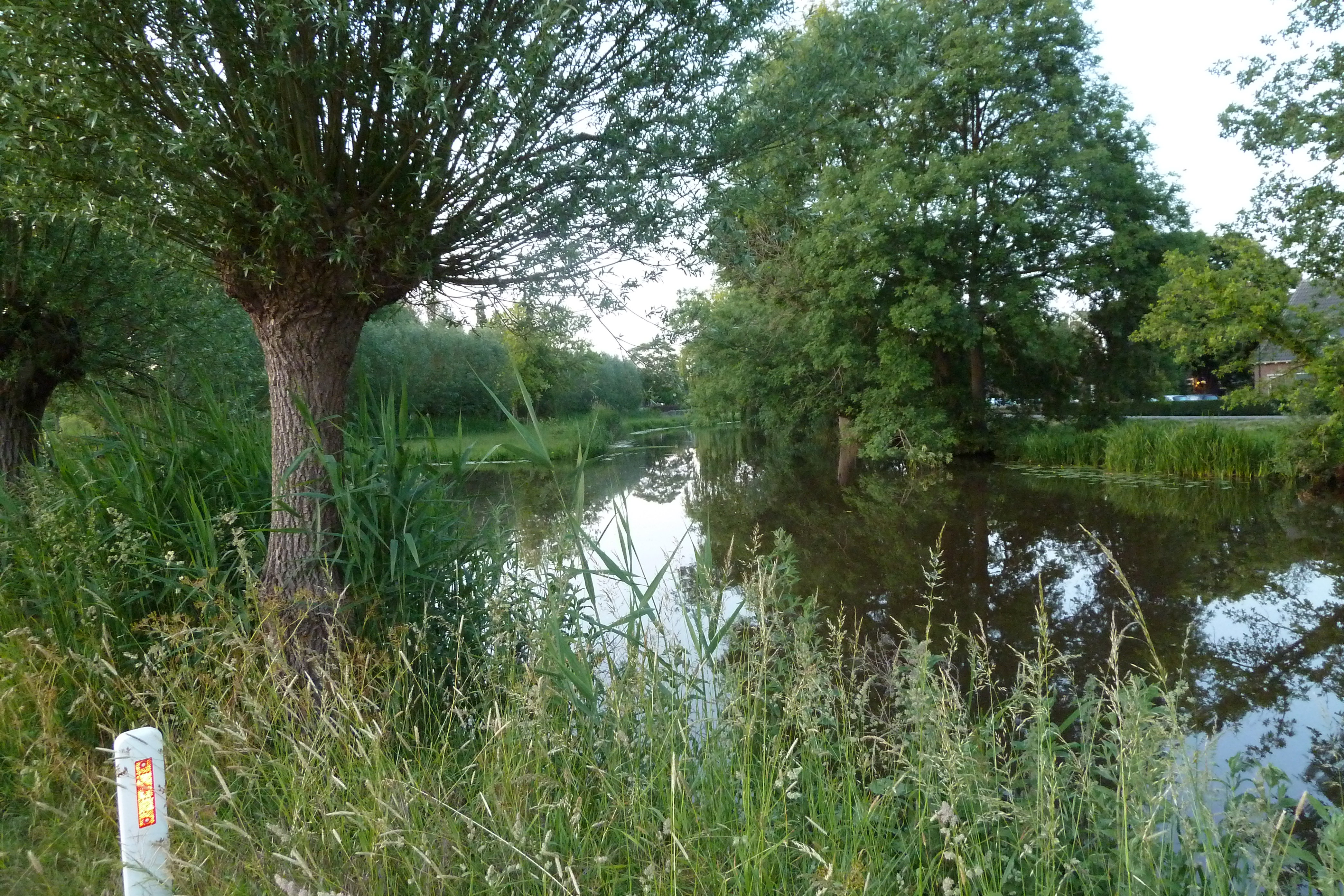 - image: 19
