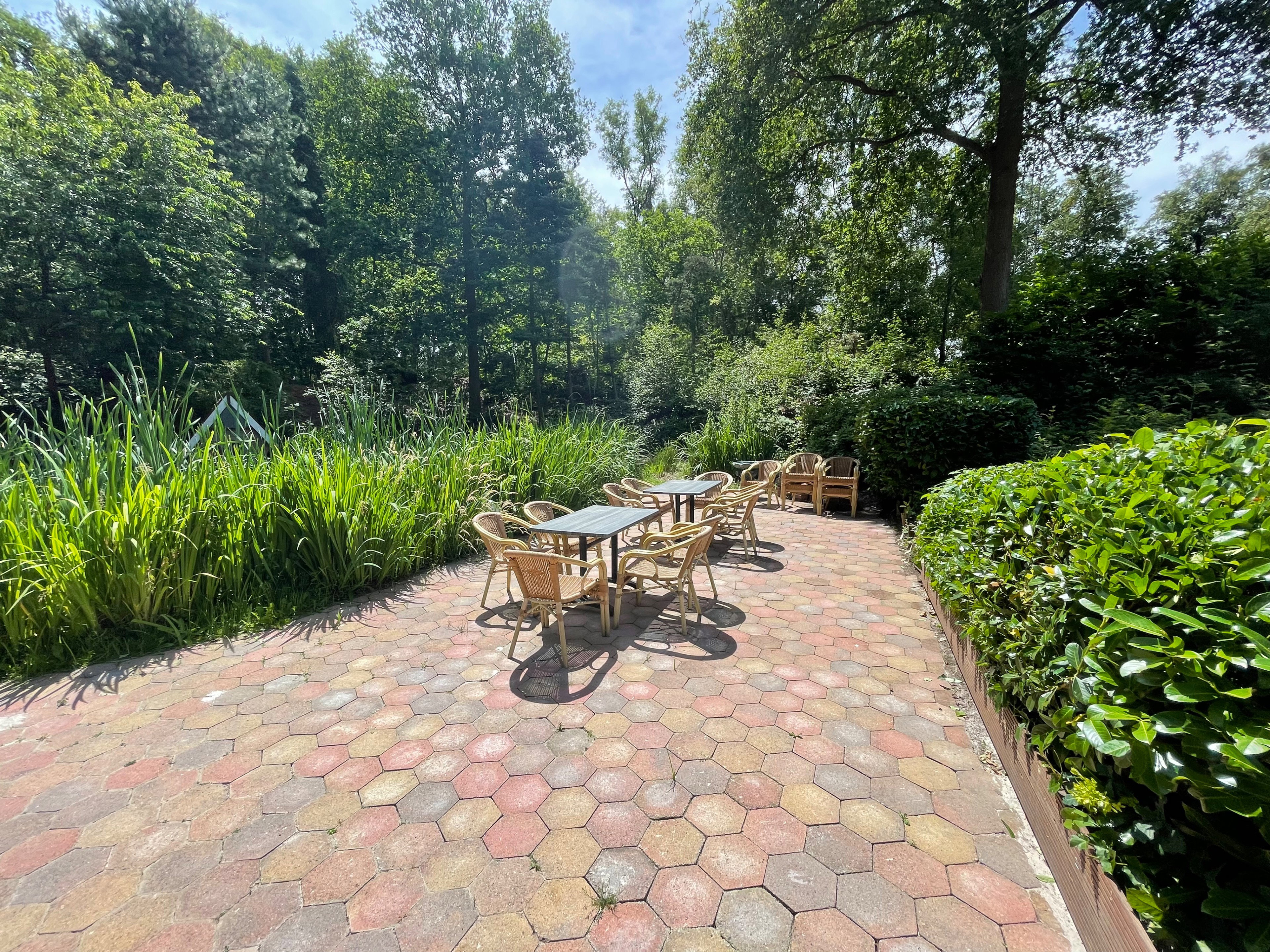 Maison nature à Bergentheim