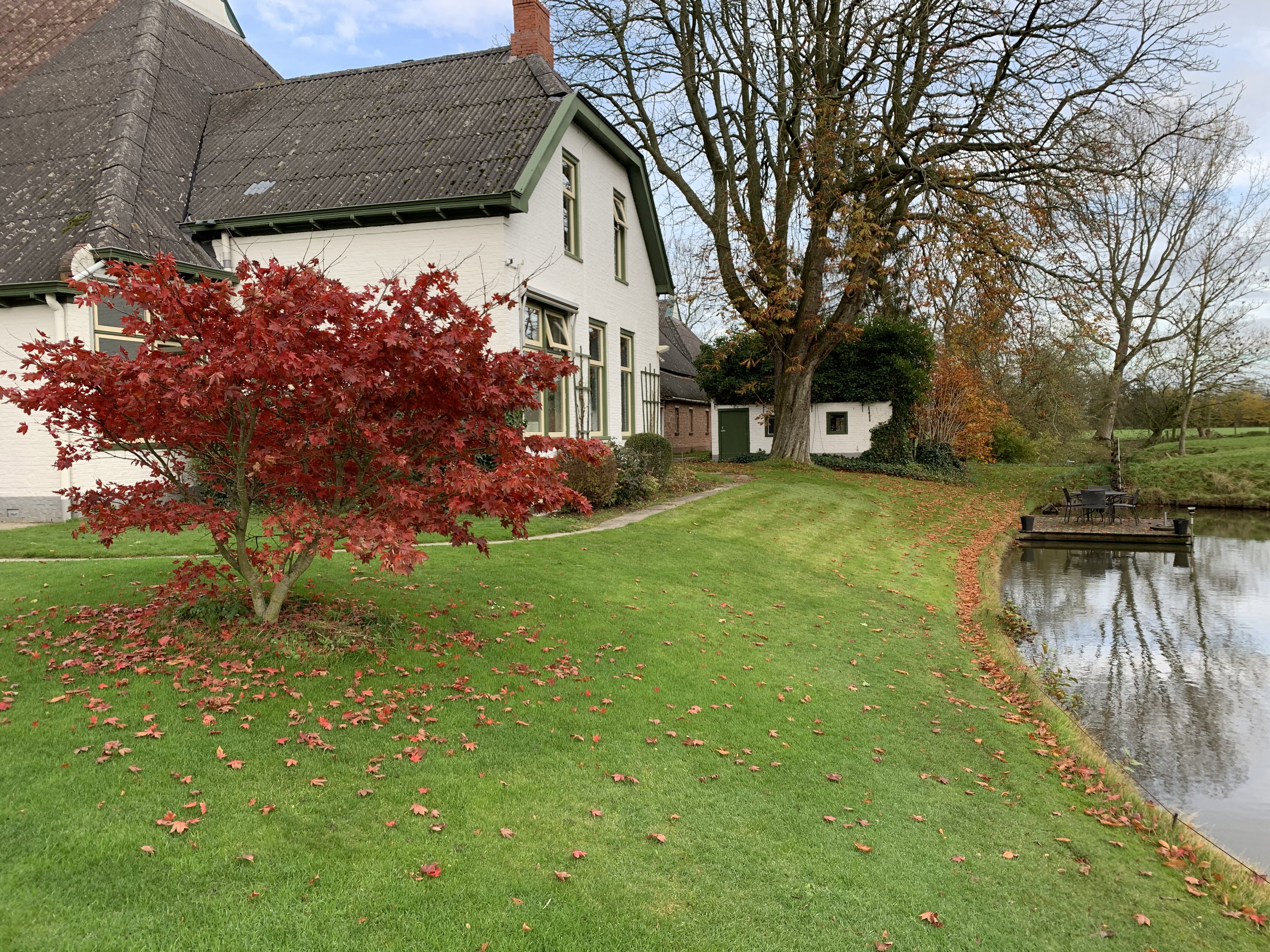 Maison nature à Usquert