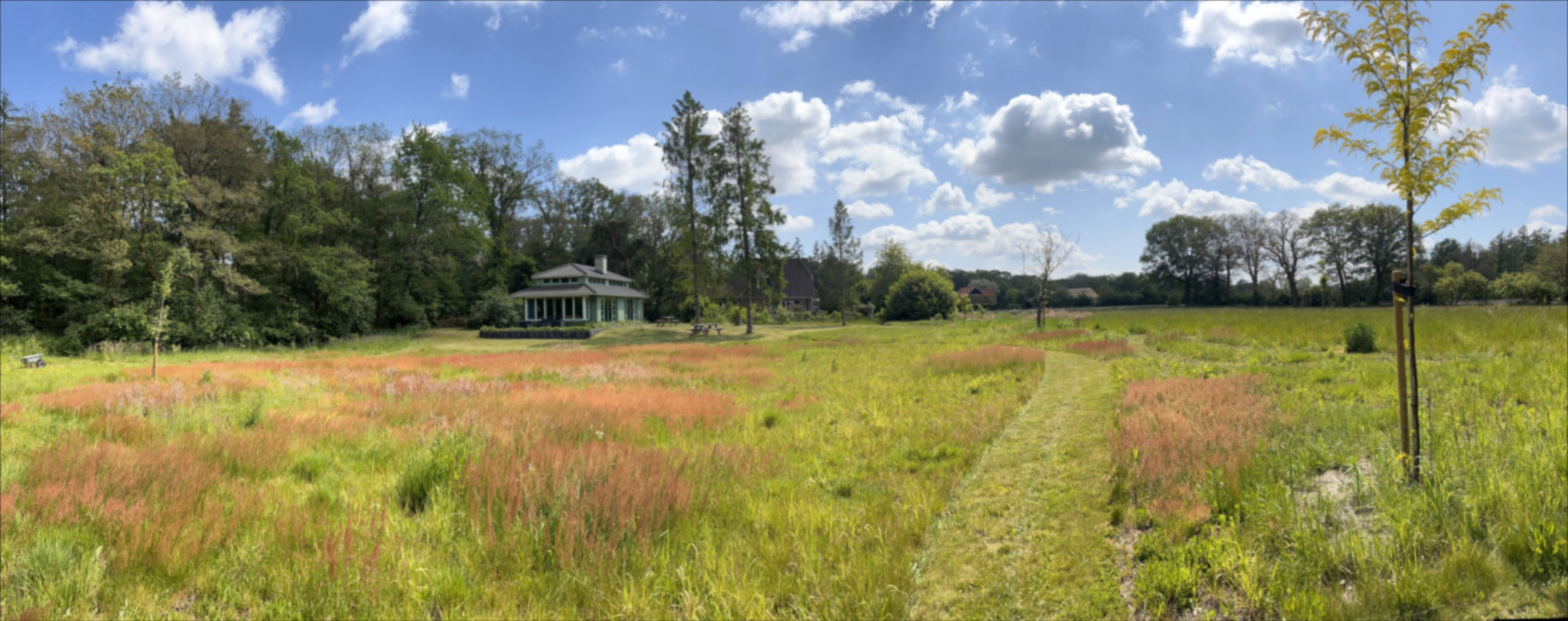 Naturhäuschen in Markelo