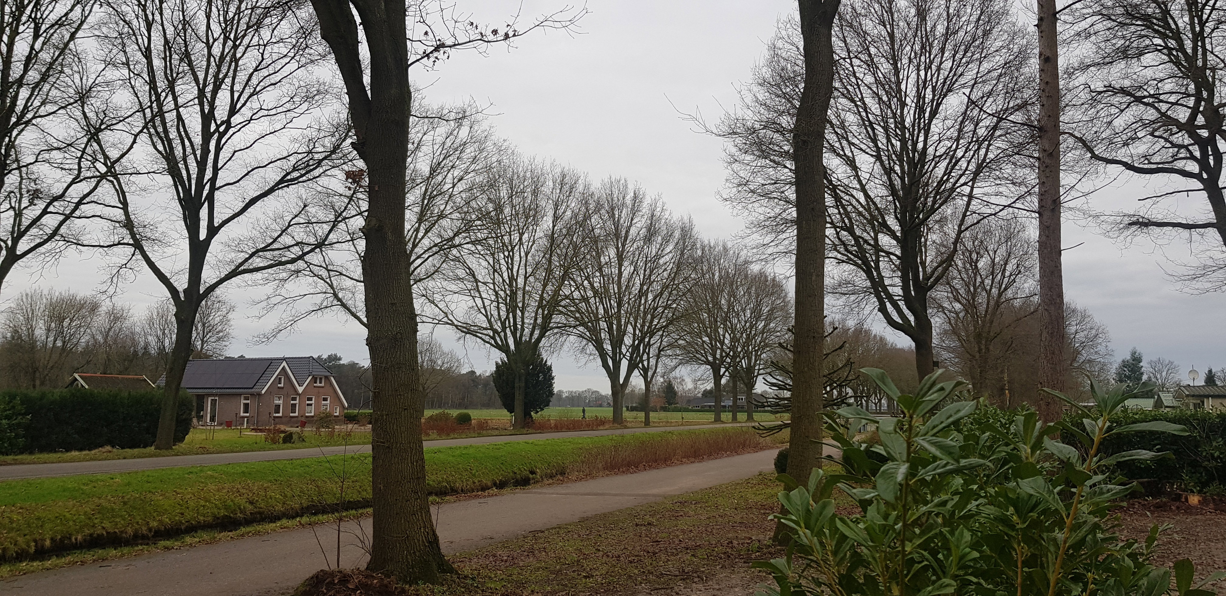 Natuurhuisje in Ommen