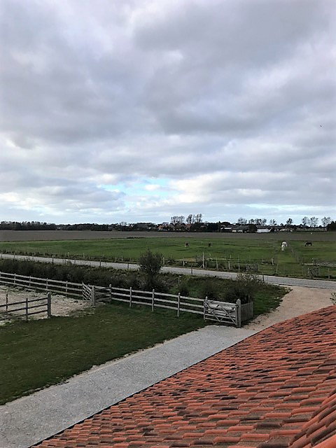 Naturhäuschen in Knokke