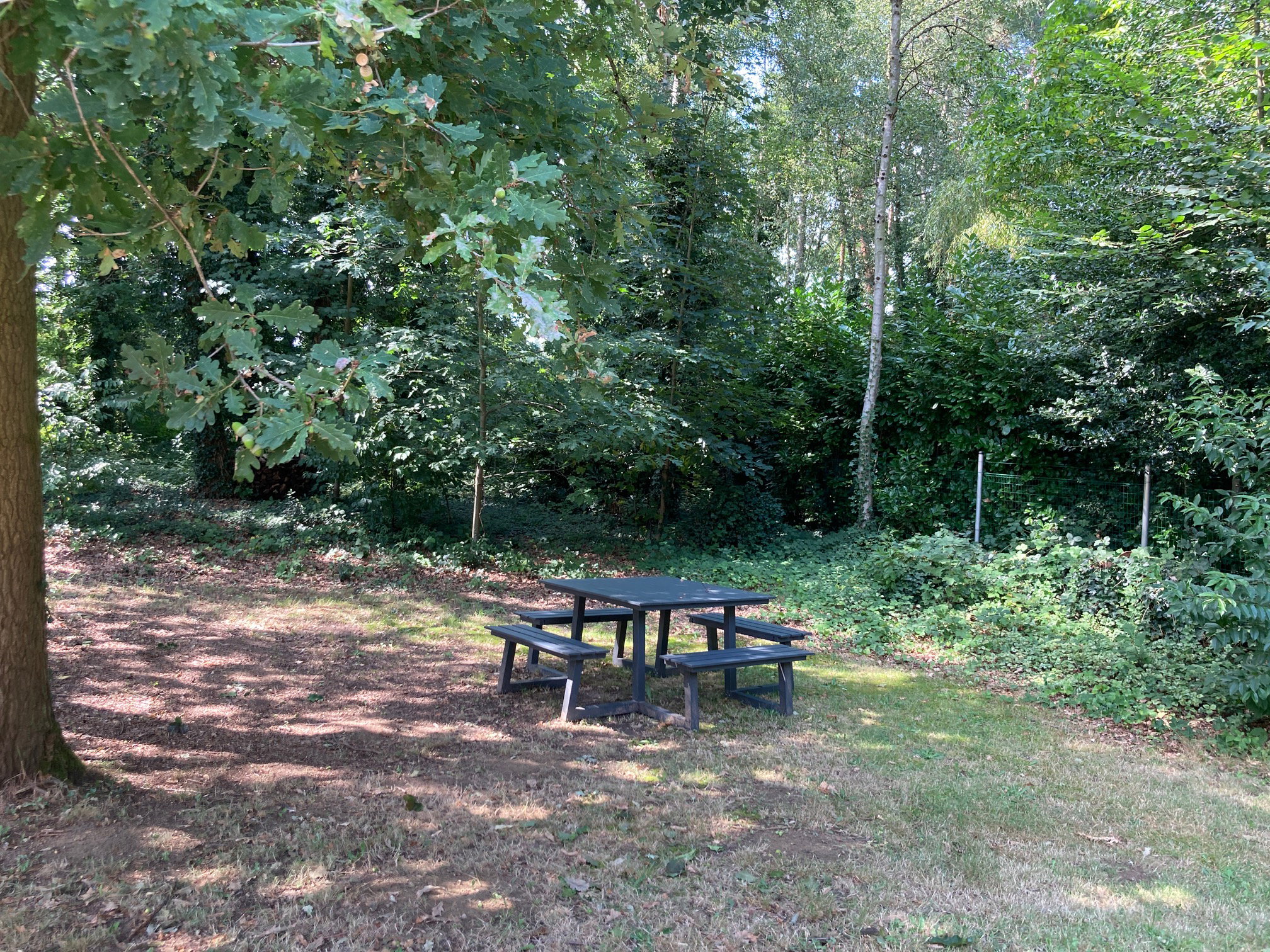 Natuurhuisje in Ham