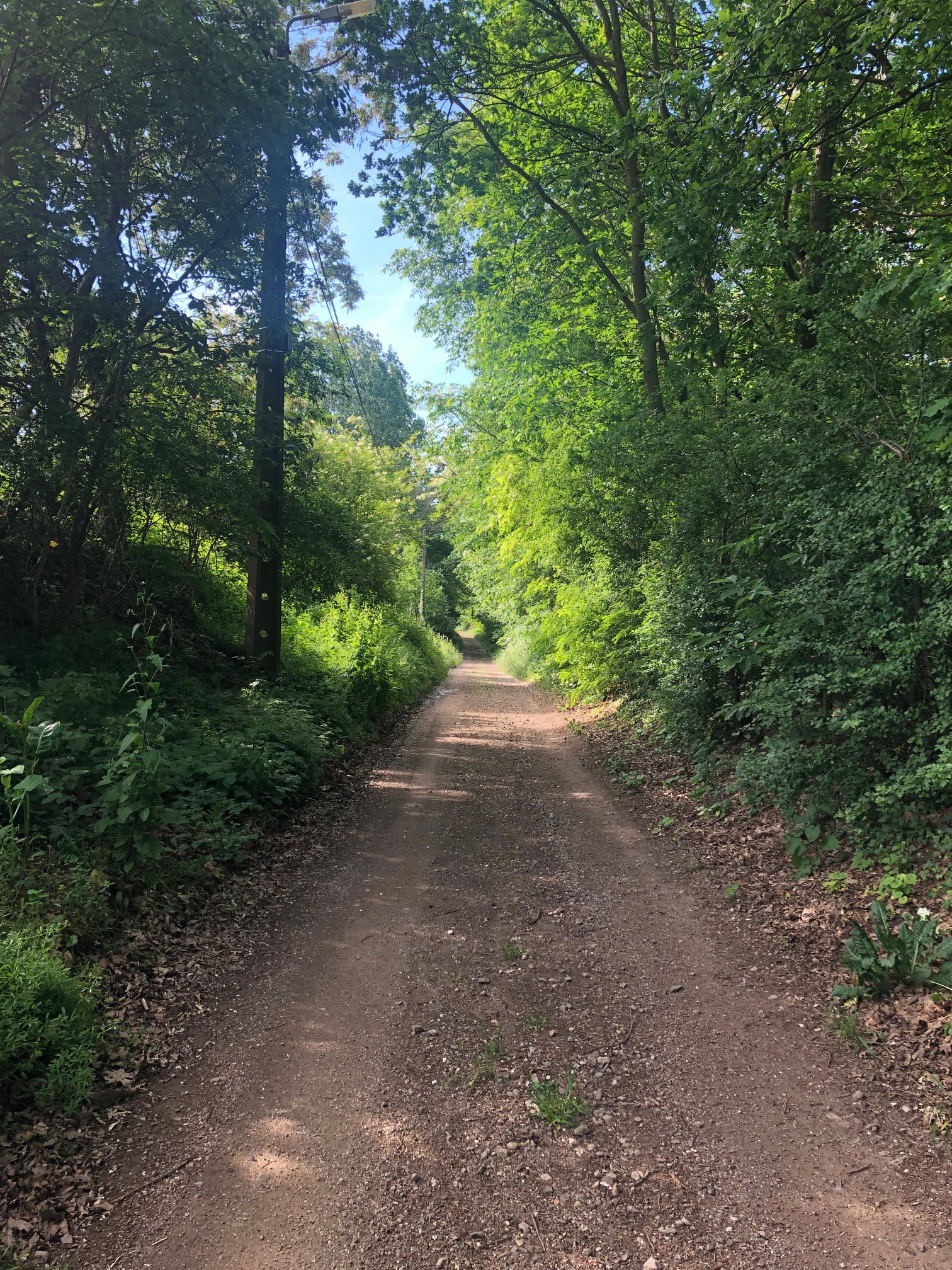 Natuurhuisje in Büdingen