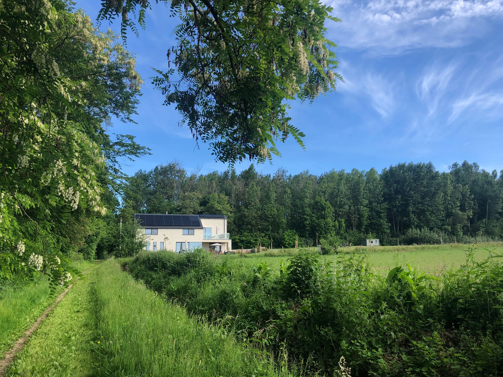 Natuurhuisje in Büdingen