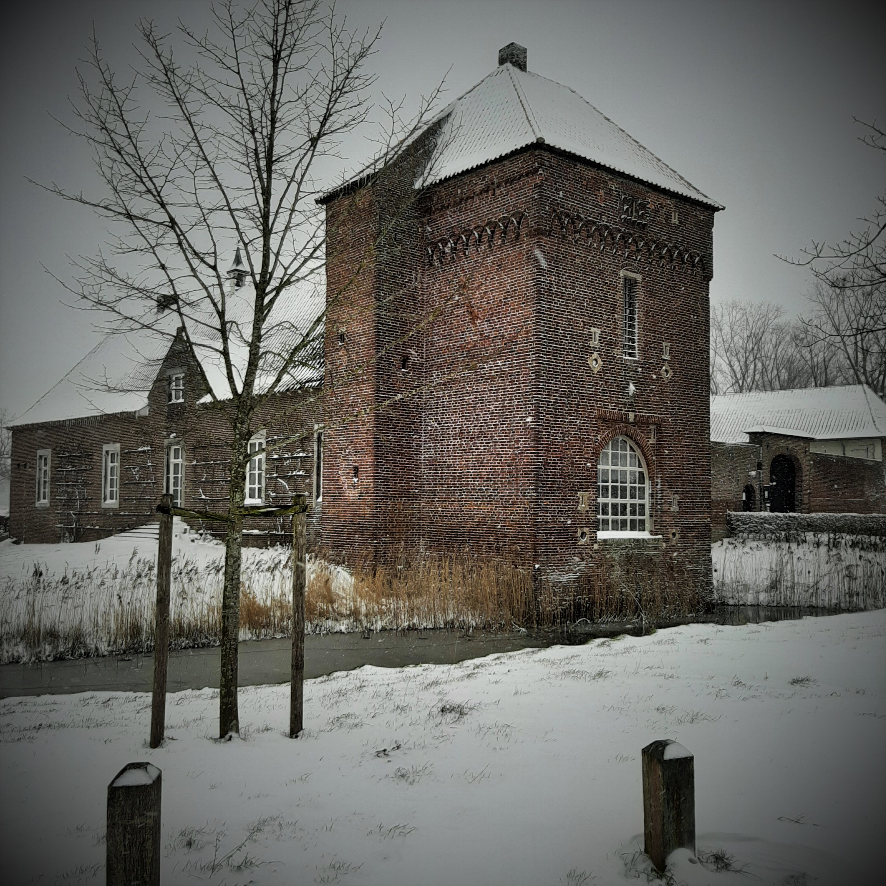 - image: 13