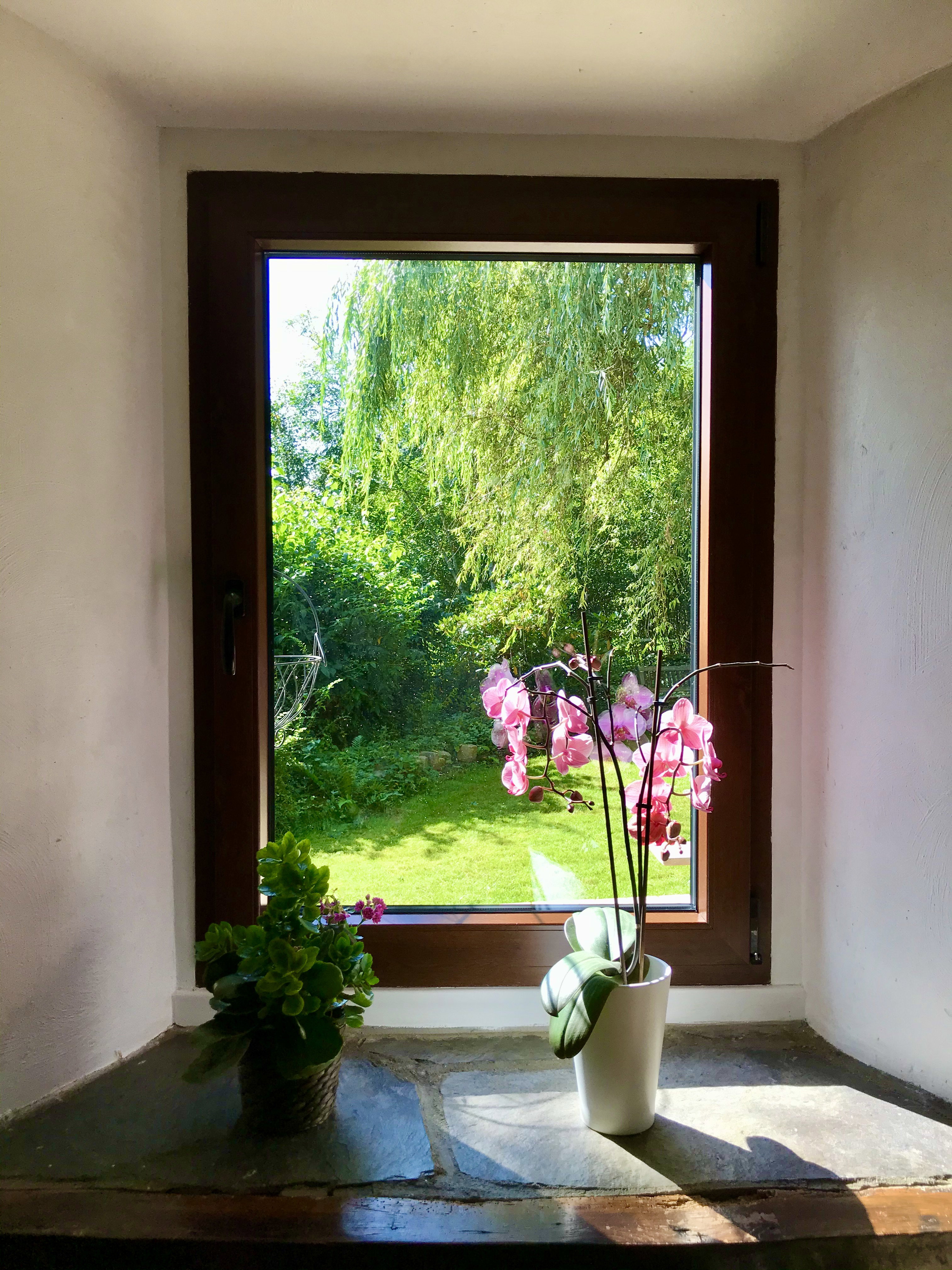 Natuurhuisje in Wibrin