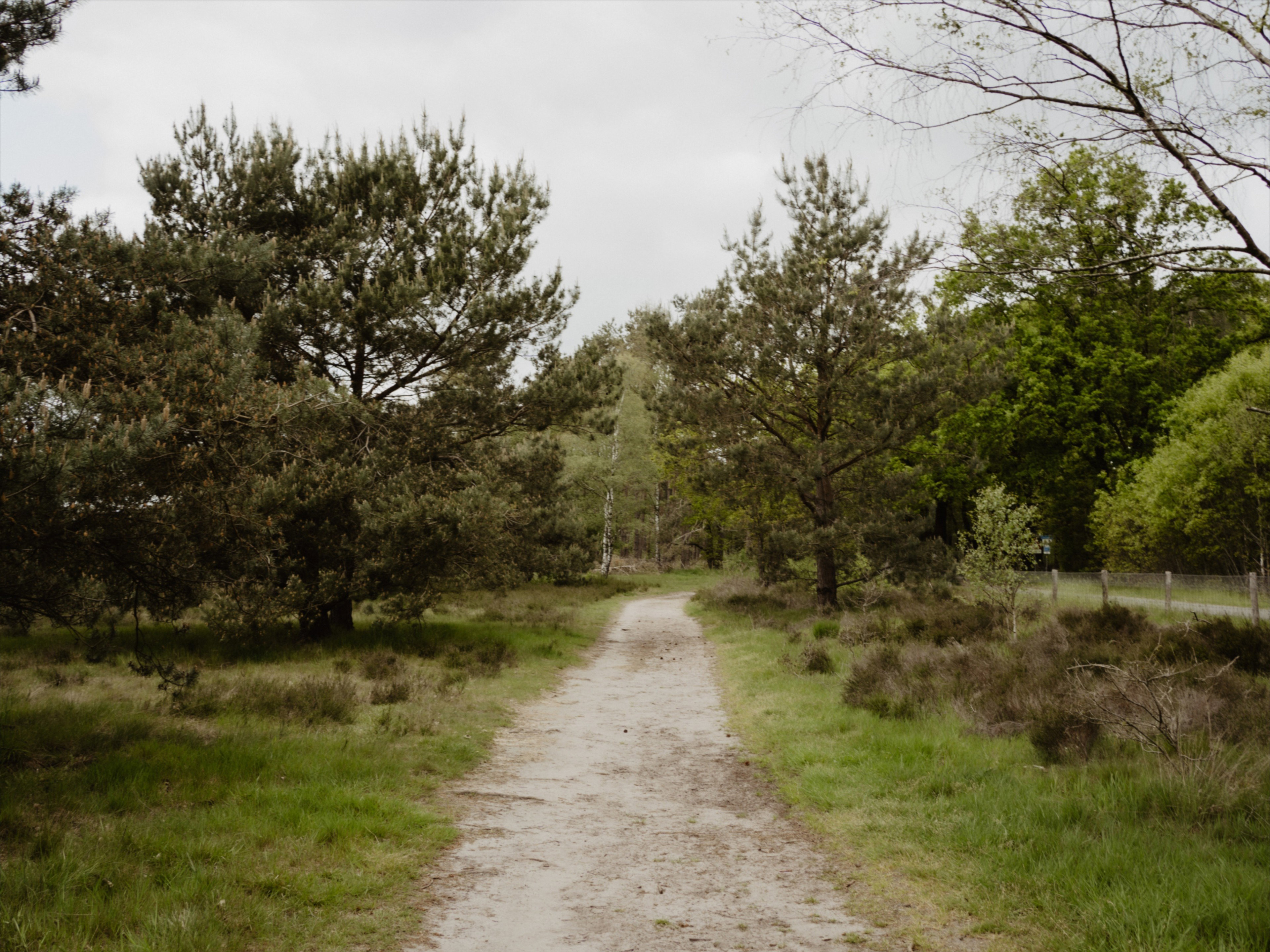 - image: 52