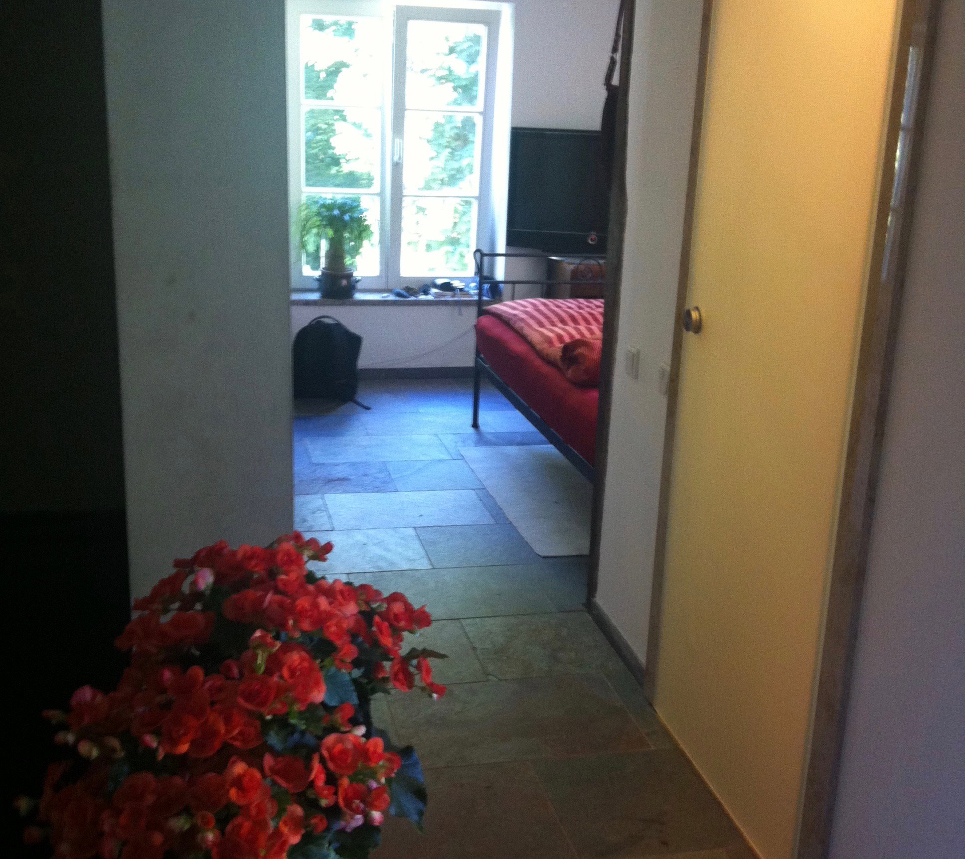 - image: 12