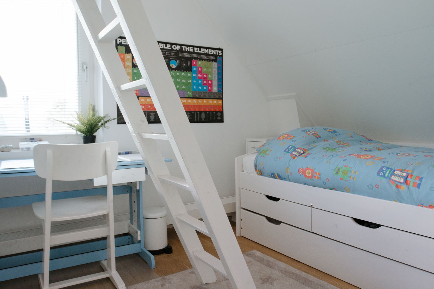 - image: 12