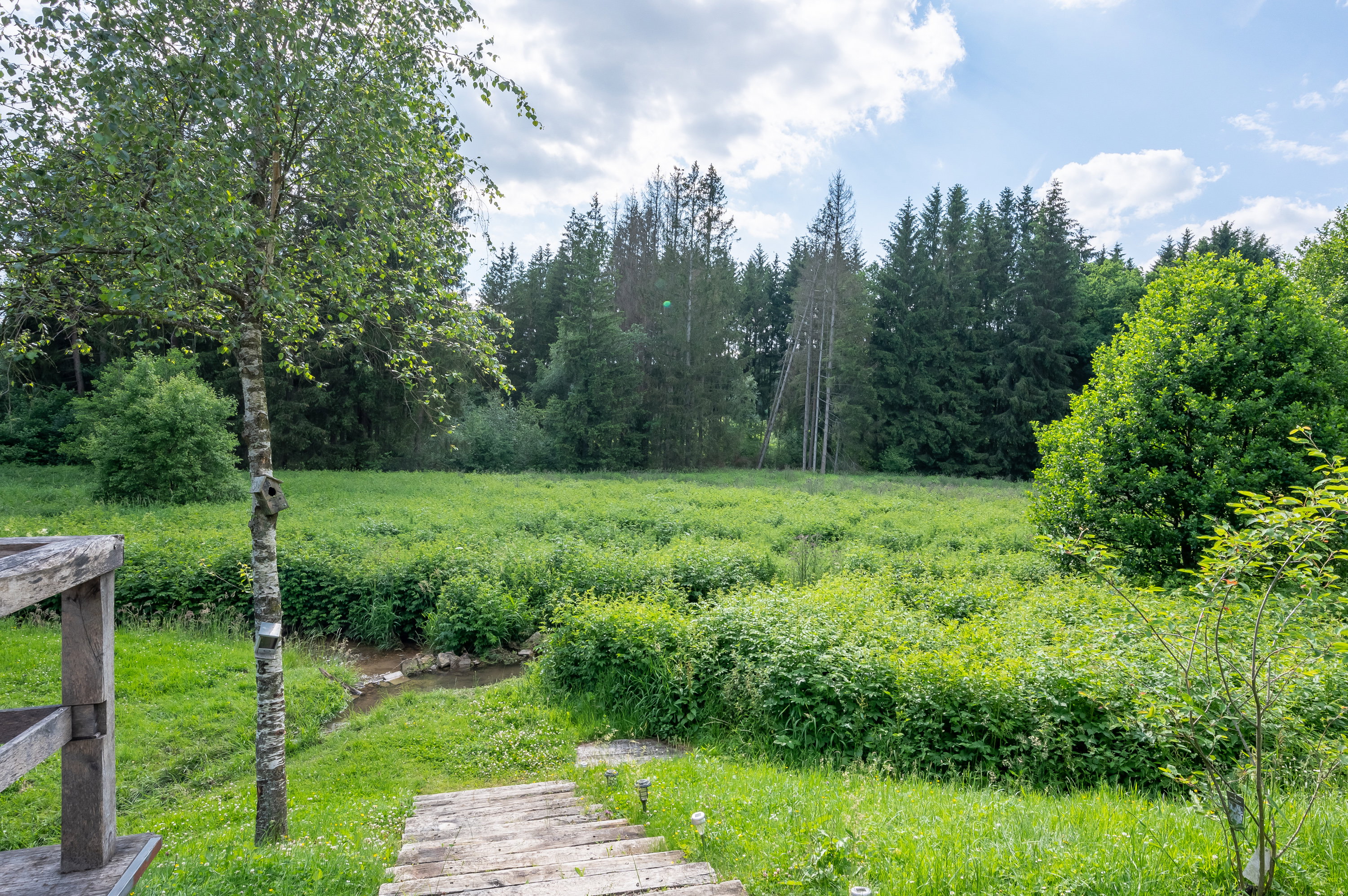 - image: 51